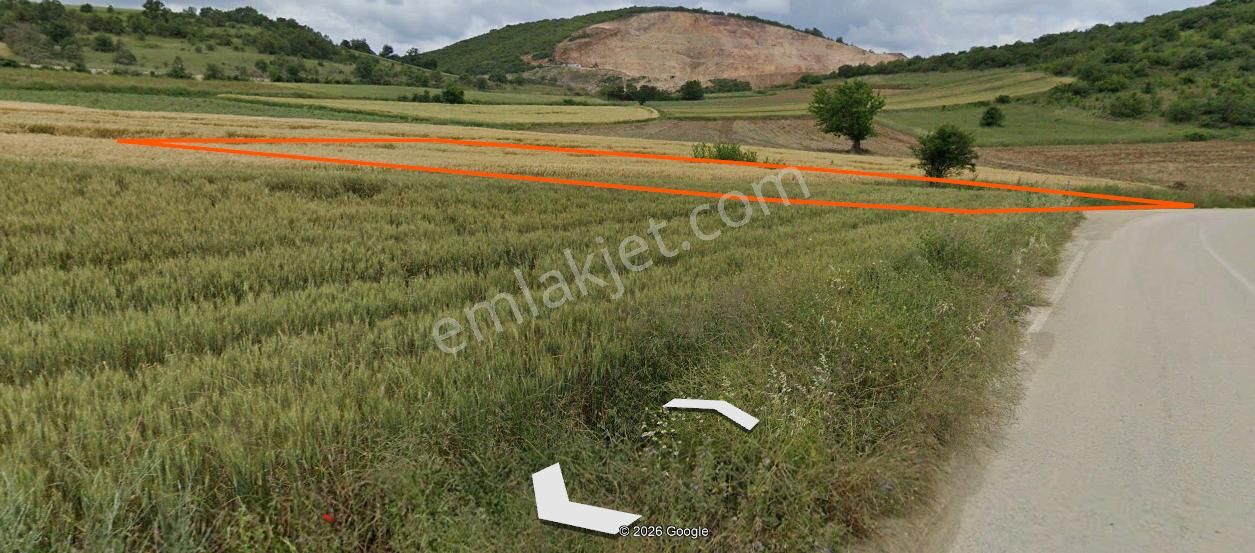 Bursa Yenişehir Hamidiye'de , Fethiye Asfaltına Cepheli - Görsel 14