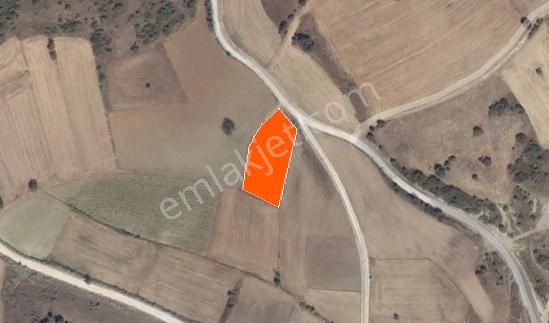 Bursa Yenişehir Hamidiye'de , Fethiye Asfaltına Cepheli - Görsel 9