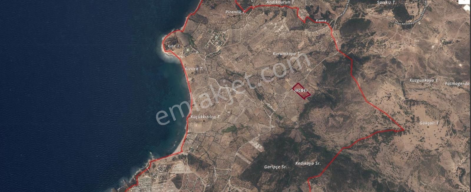 Eu Gayrimenkul'den Asfalta Cephe Deniz Manzaralı Zeytinlik - Görsel 7