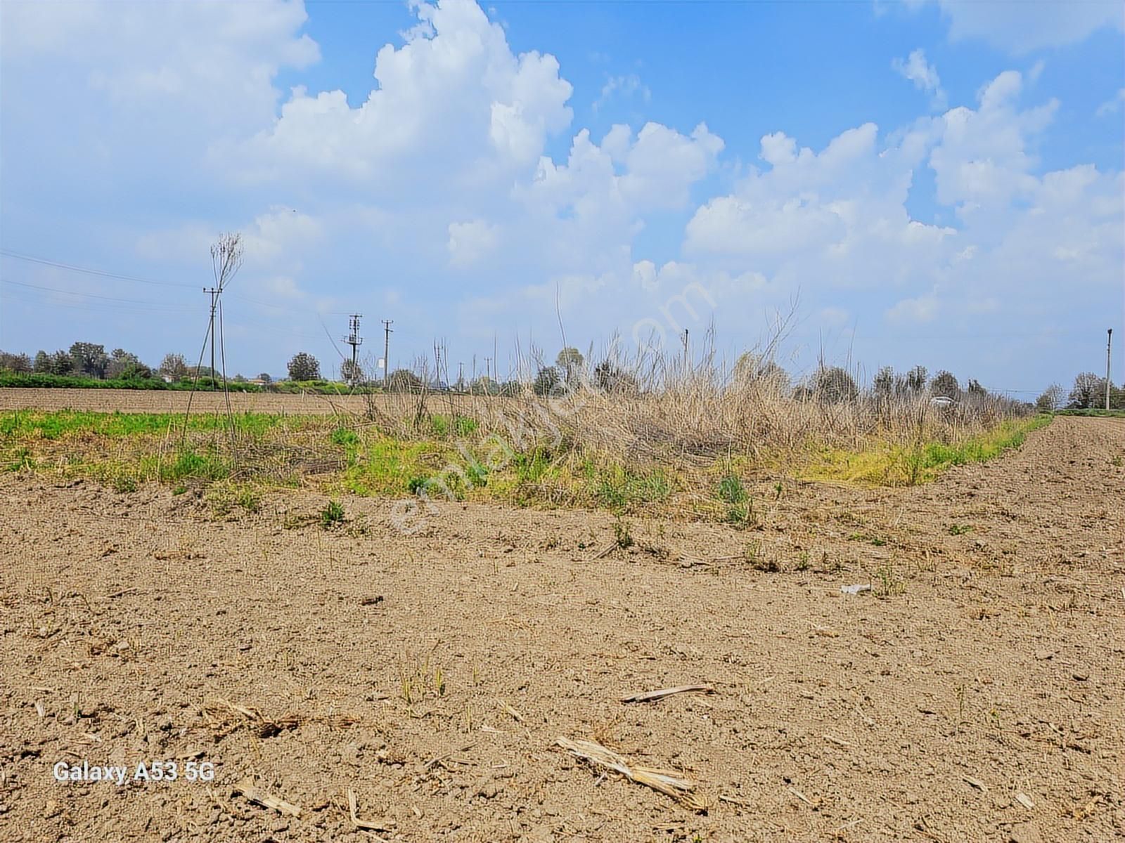 Sakarya Merkez Budaklar Da Yerleşim Yerine Yakın Araziler - Görsel 8