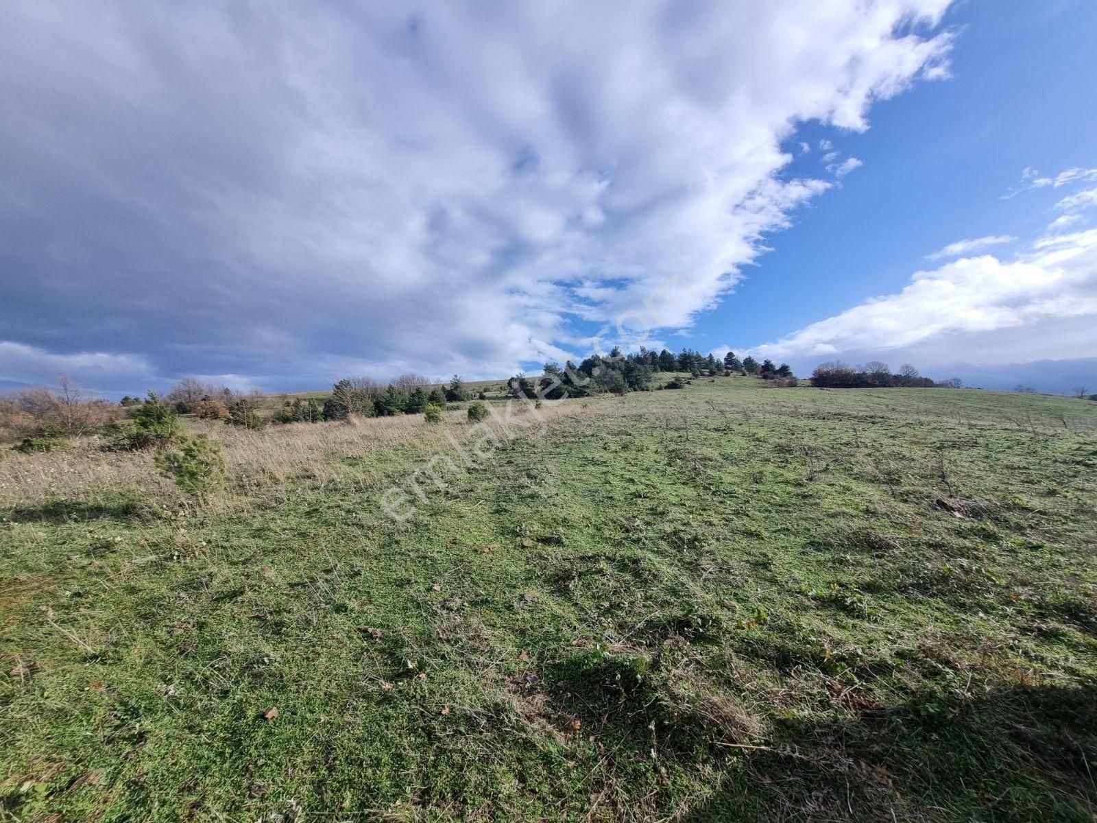 Çalı'da Manzaralı Kadastro Yola Cephe Satılık Tarla - Görsel 2