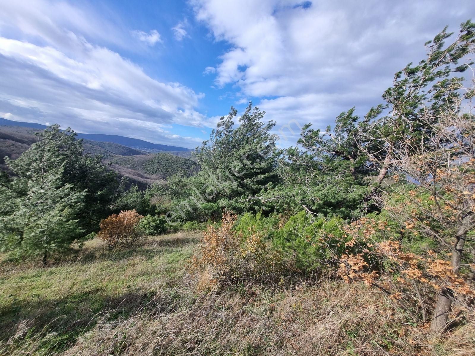 Çalı'da Manzaralı Kadastro Yola Cephe Satılık Tarla - Görsel 14