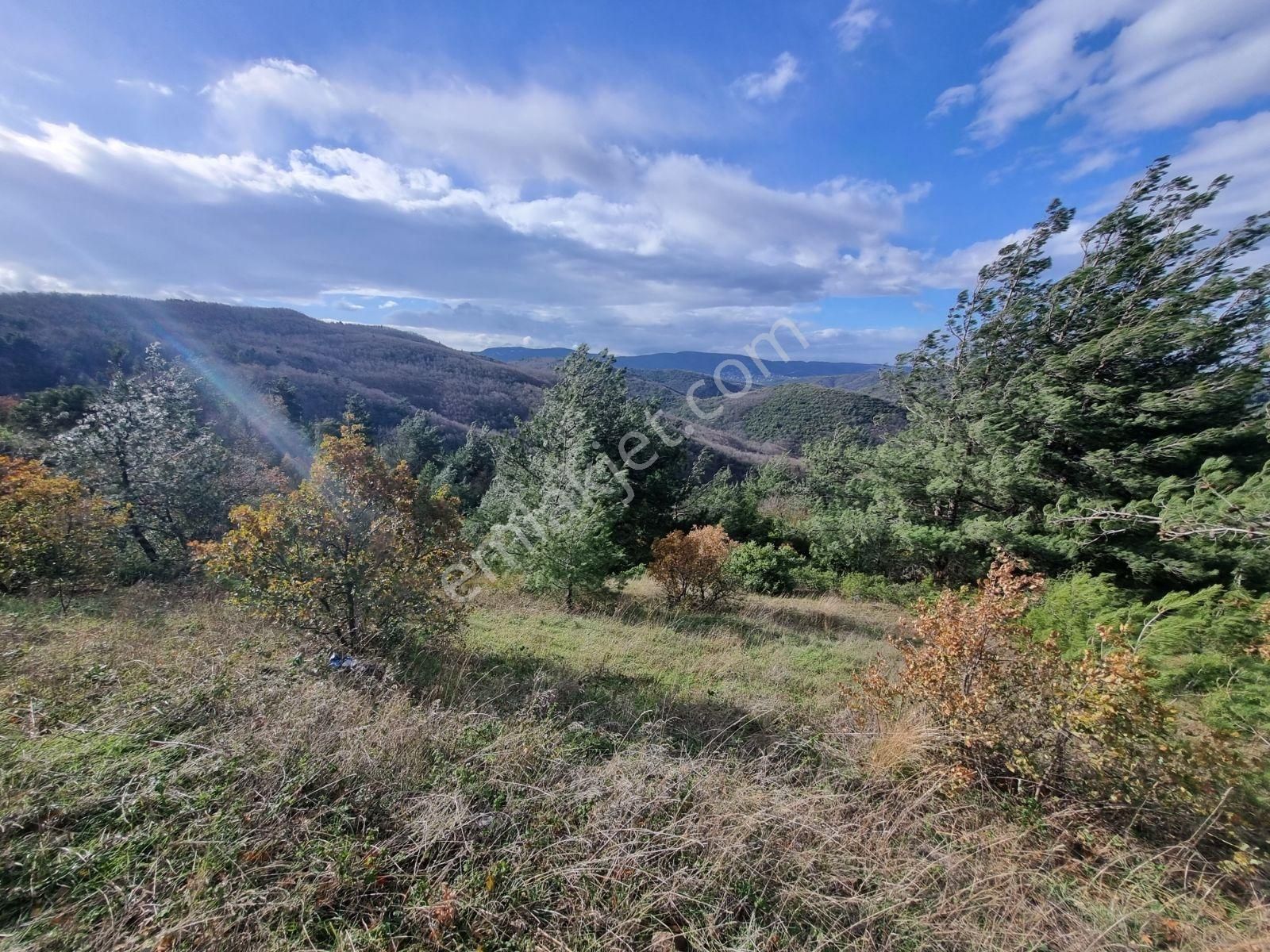 Çalı'da Manzaralı Kadastro Yola Cephe Satılık Tarla - Görsel 15