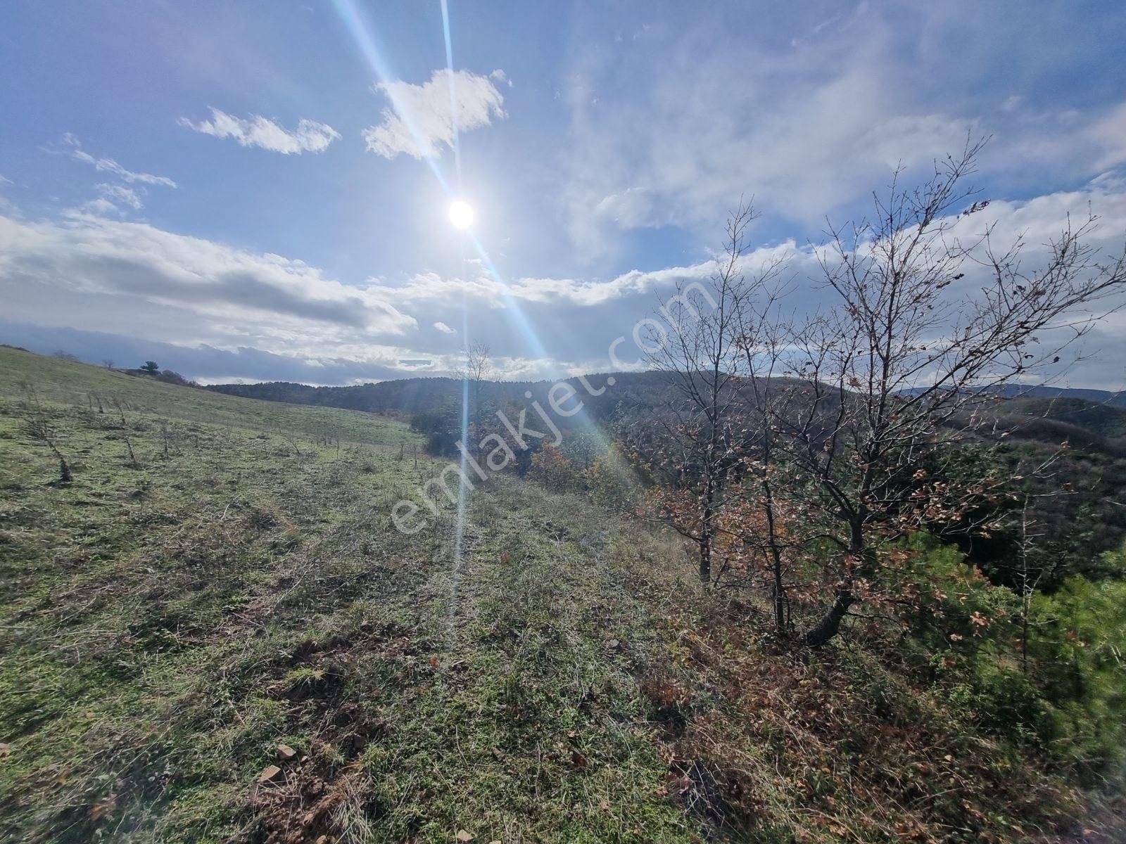 Çalı'da Manzaralı Kadastro Yola Cephe Satılık Tarla - Görsel 18