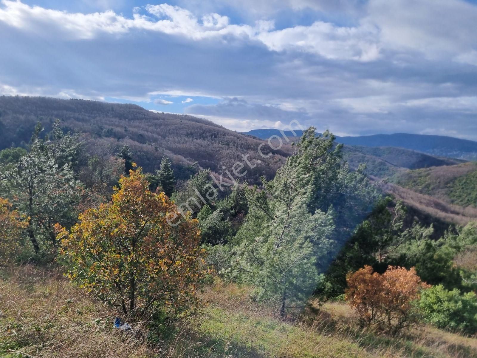 Çalı'da Manzaralı Kadastro Yola Cephe Satılık Tarla - Görsel 8