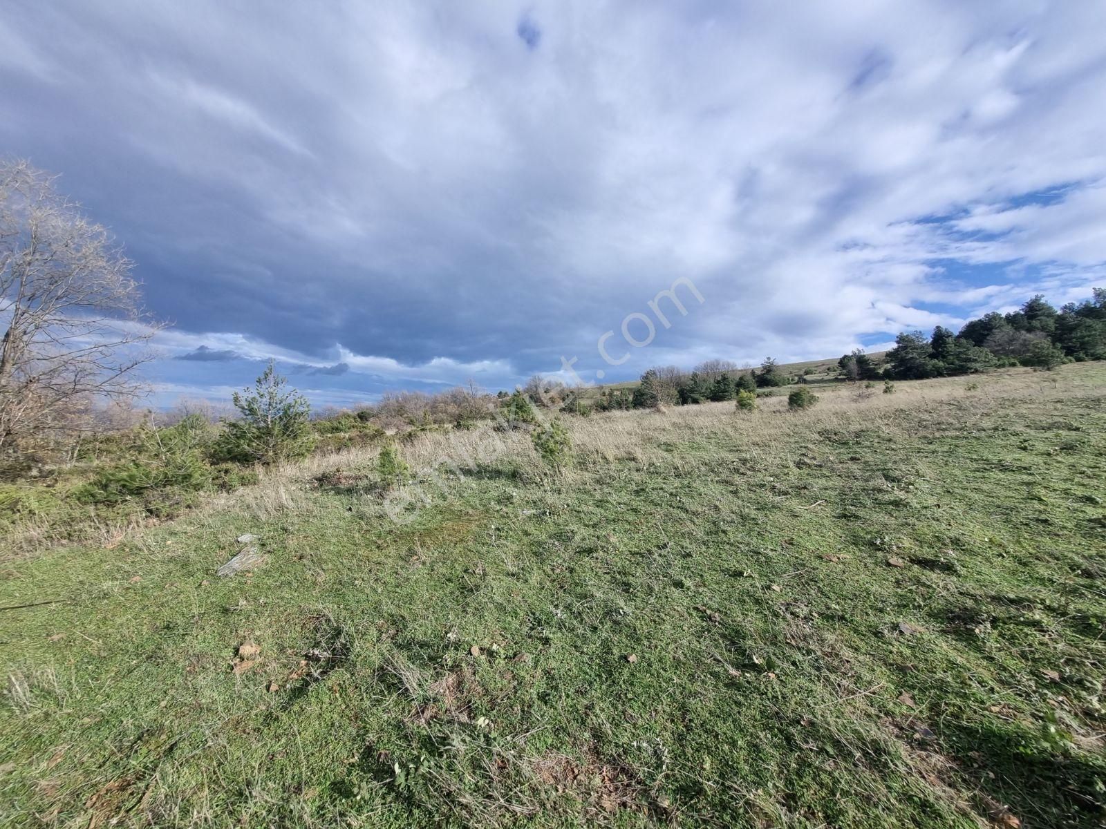 Çalı'da Manzaralı Kadastro Yola Cephe Satılık Tarla - Görsel 3