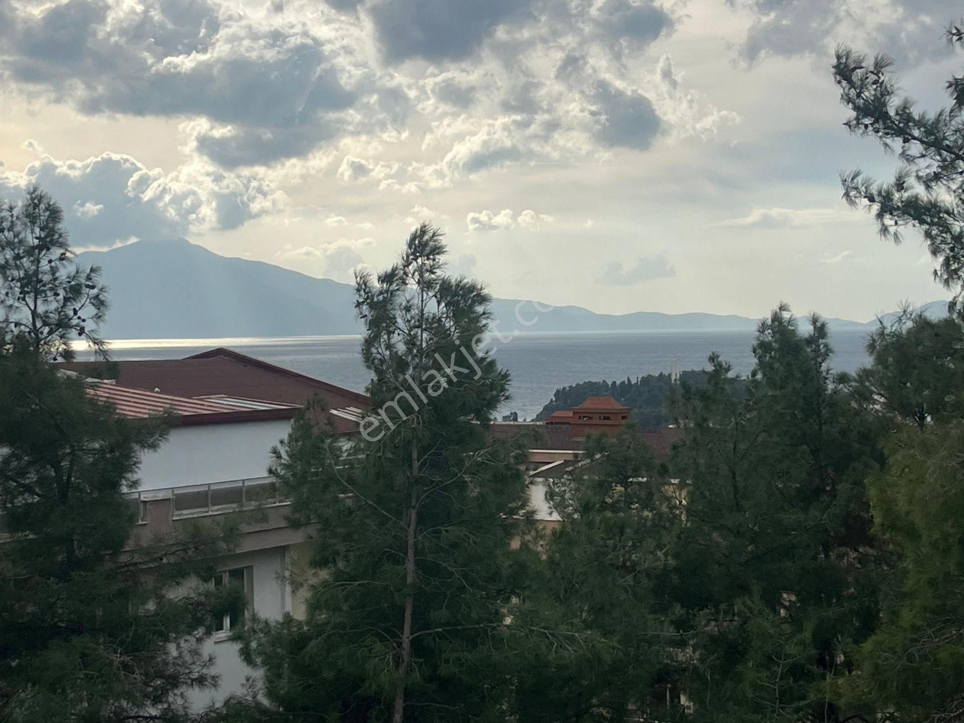 Kadınlar Denizi Yatay Mimari 2 + 1 - Görsel 3