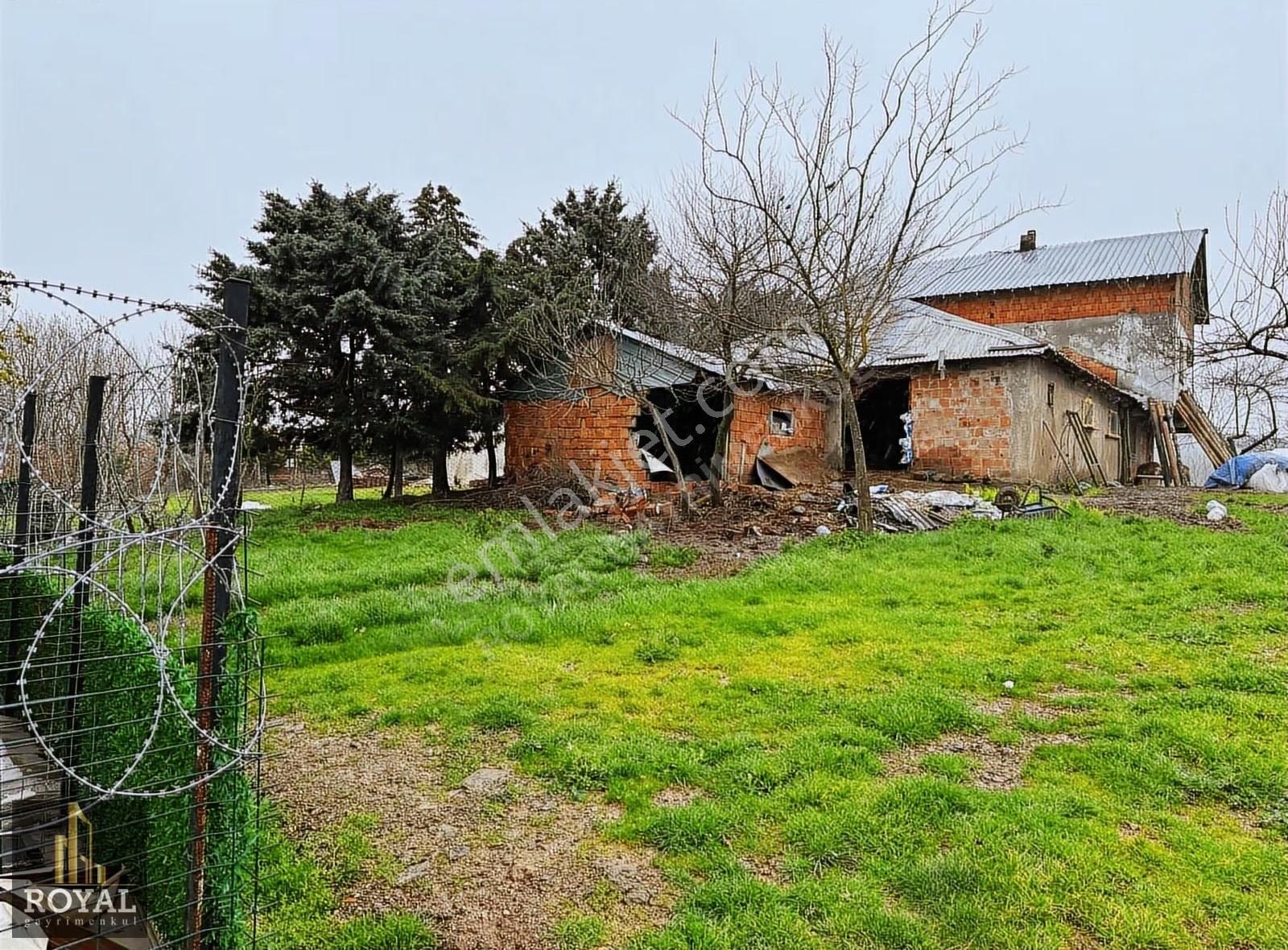 Körfez Elmacıkta 1.850 M² İçinde Müstakil Ev Ve Ağır - Çiftlik - Görsel 5
