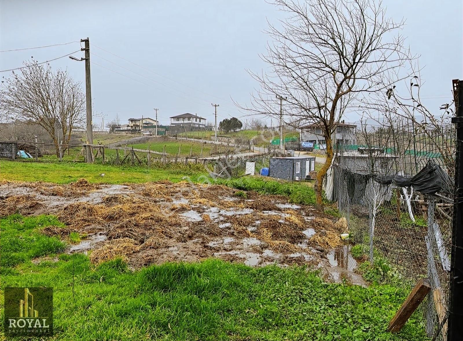 Körfez Elmacıkta 1.850 M² İçinde Müstakil Ev Ve Ağır - Çiftlik - Görsel 10