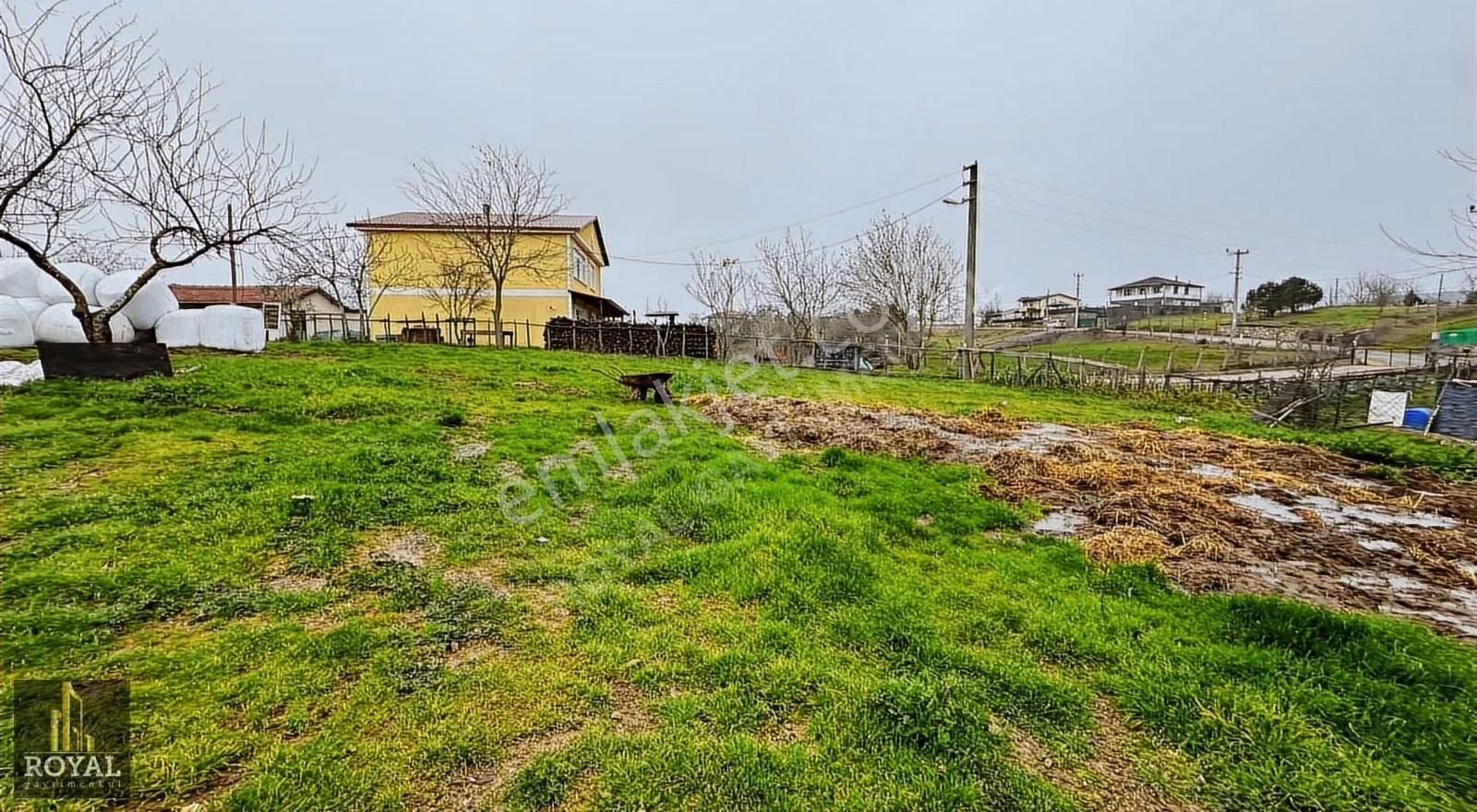 Körfez Elmacıkta 1.850 M² İçinde Müstakil Ev Ve Ağır - Çiftlik - Görsel 7