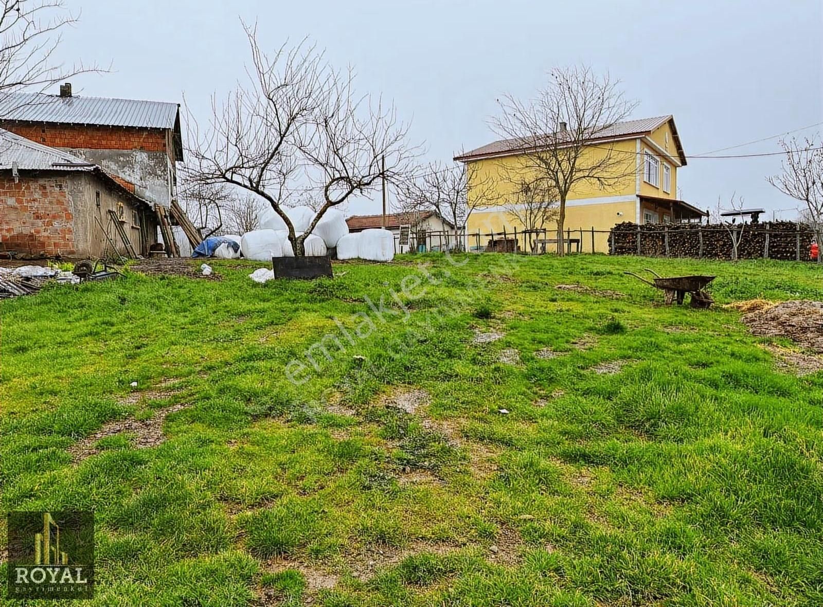 Körfez Elmacıkta 1.850 M² İçinde Müstakil Ev Ve Ağır - Çiftlik - Görsel 8