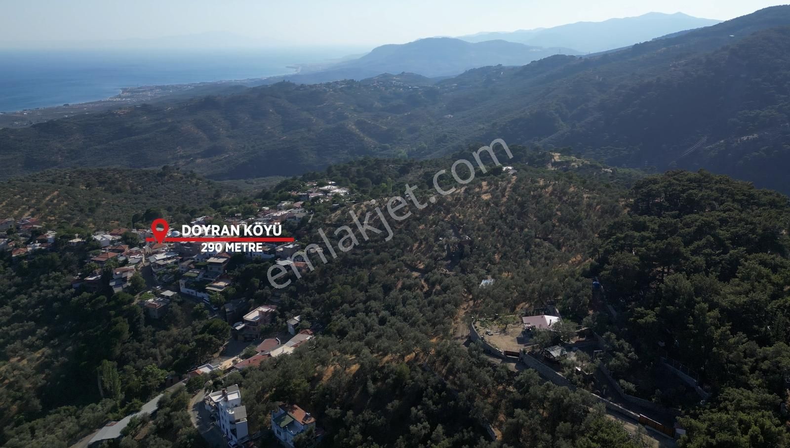 Doyran Köyünde %40 Köy İmarında Satılık Zeytinlik - Görsel 6