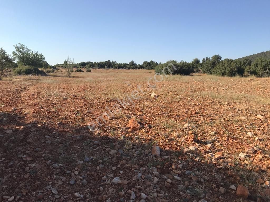 Kale Kayabaşı Mevkisinde 14.450 M2 Satılık Tarla - Görsel 2