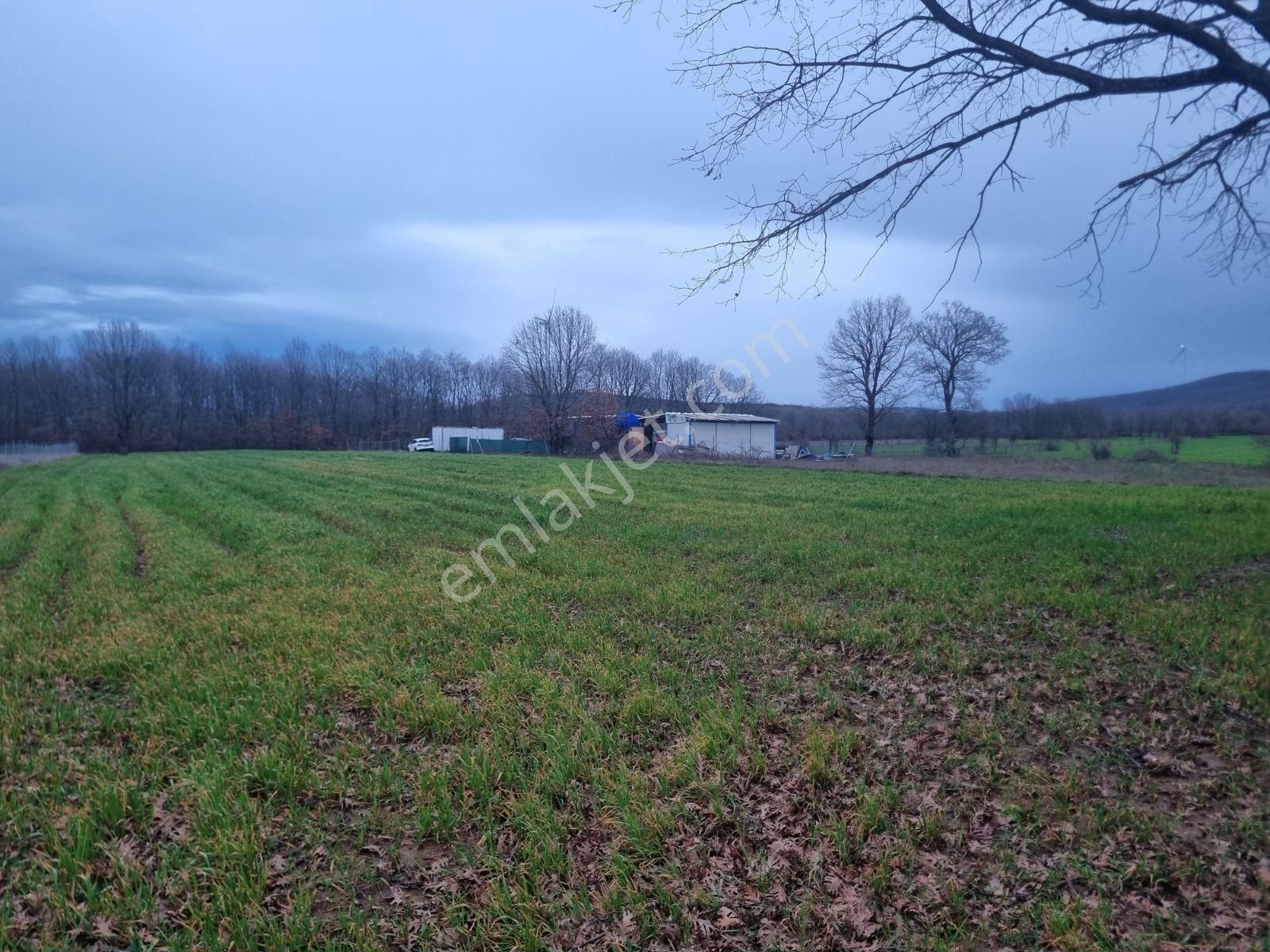 Unçukurunda Müstakil Tapulu Satılık Hobi Bahçesi - Görsel 8