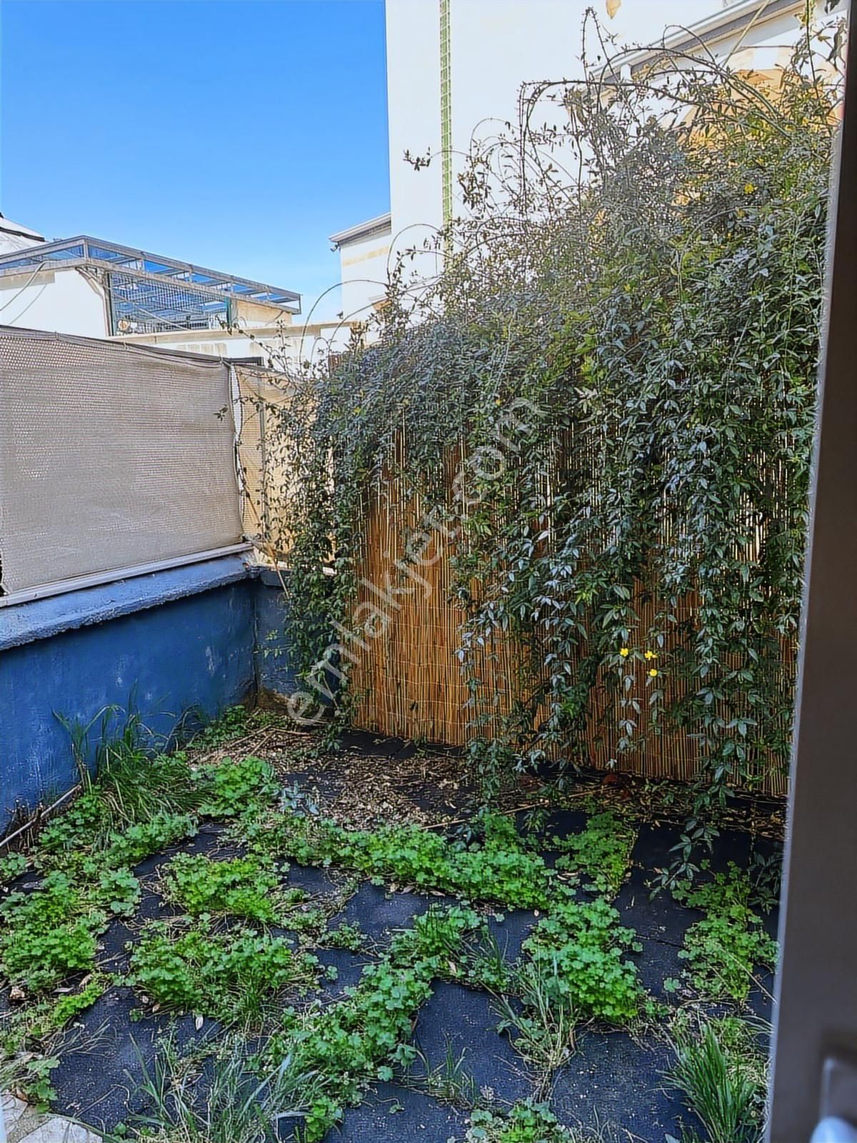 Barbaros Mahallesi'nde Satılık Bahçeli Müstakil Bina - Görsel 24