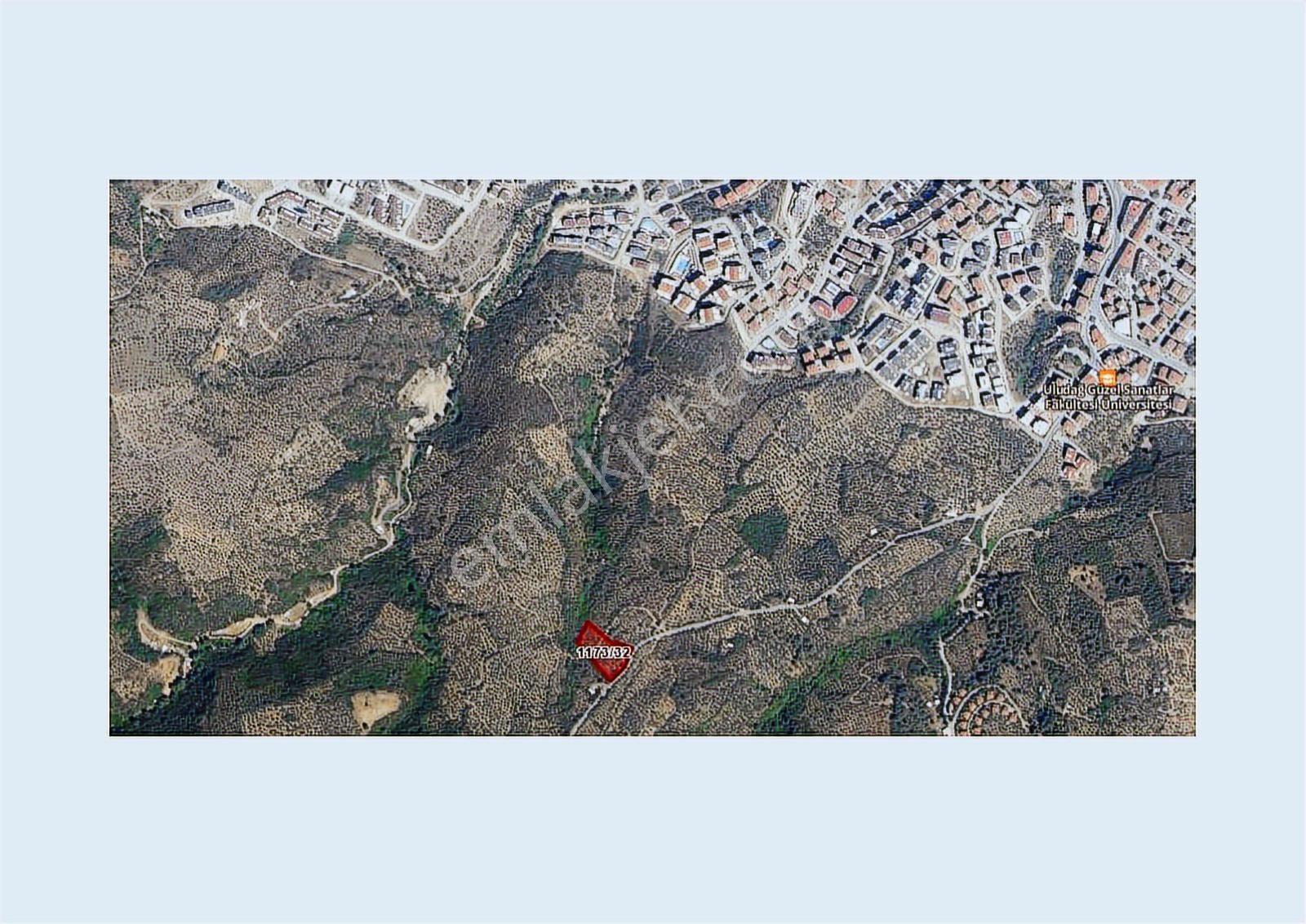 Halitpaşa Da Yola Cephe Full Deniz Manzaralı Zeytinlik - Görsel 11