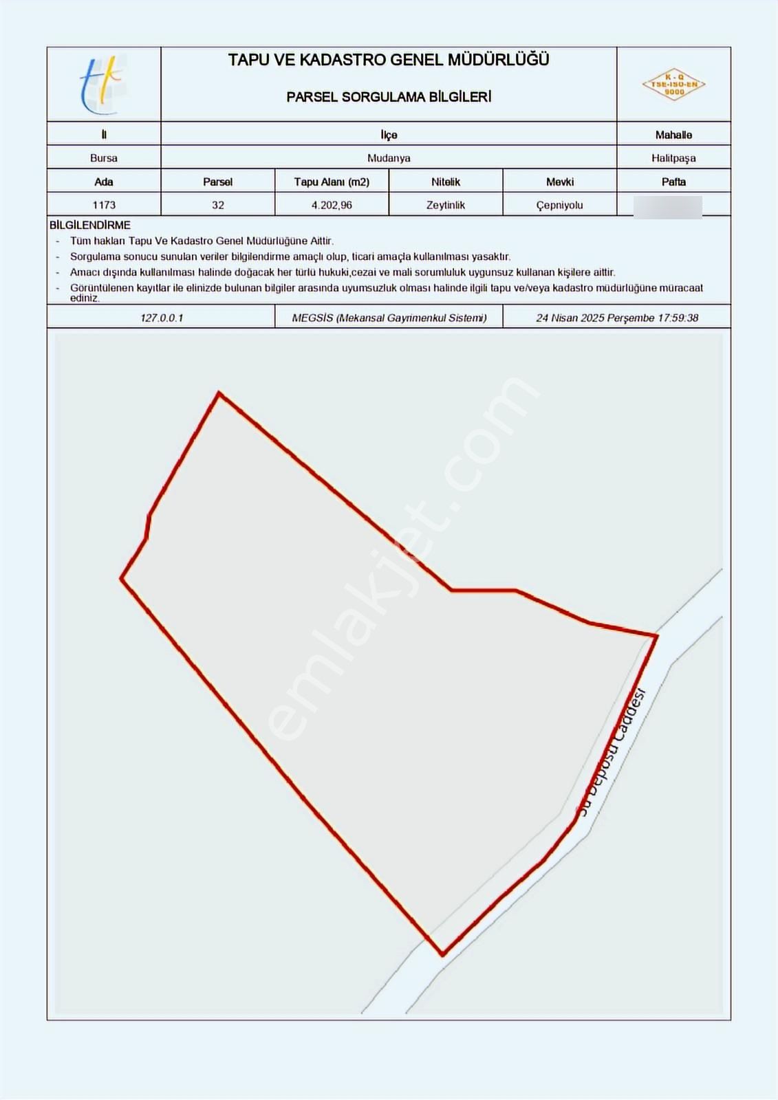 Halitpaşa Da Yola Cephe Full Deniz Manzaralı Zeytinlik - Görsel 6