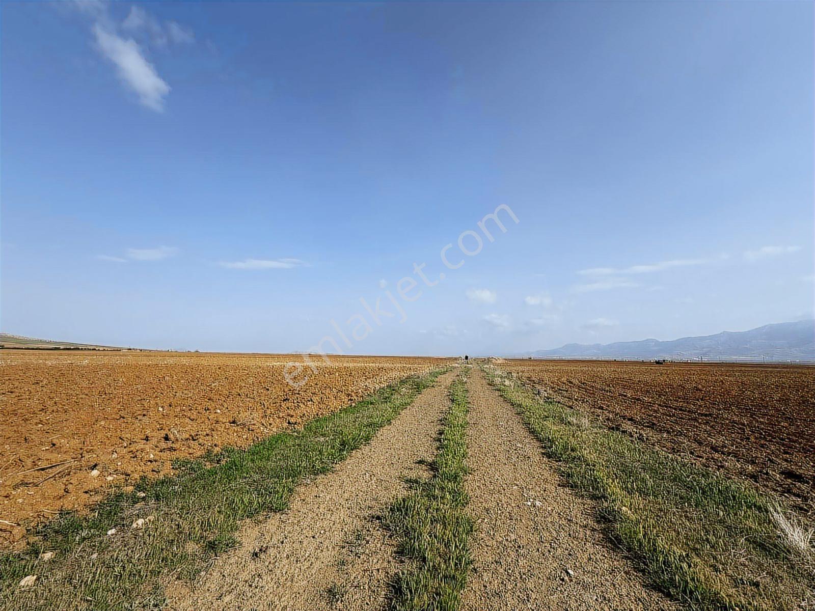 Emlakyap Tan Kazımkarabekirde Satılık 75 000 M2 Tarla - Görsel 7
