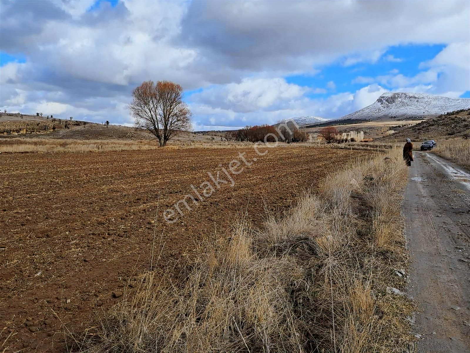 Meram Kızılören 4462m2 Tek Tapulu Müstakil Tarla - Görsel 6