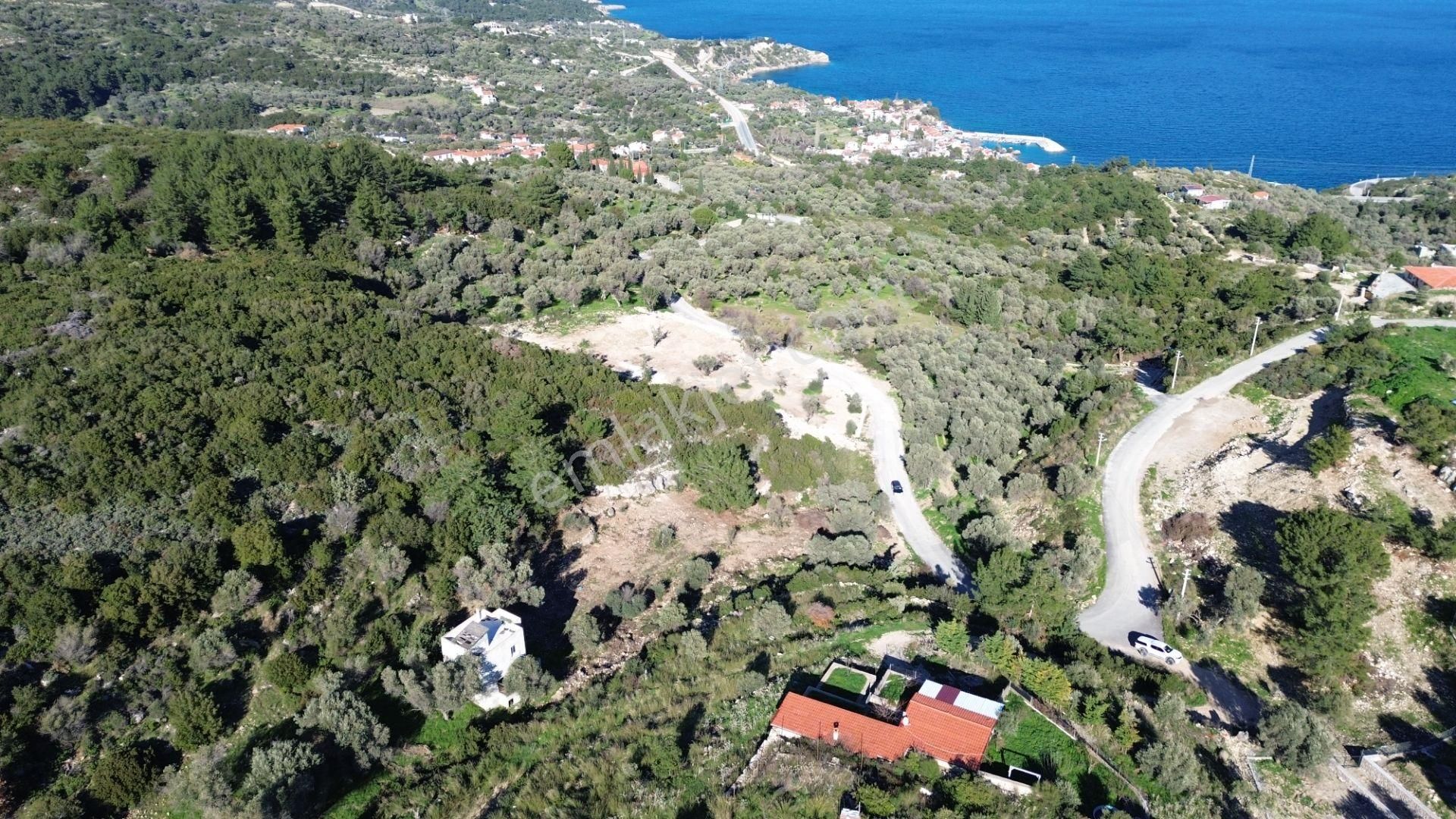 Karaburun İnecik'te İçerisinde 4+1 Müstakil Villa Bulunan Arazi - Görsel 23