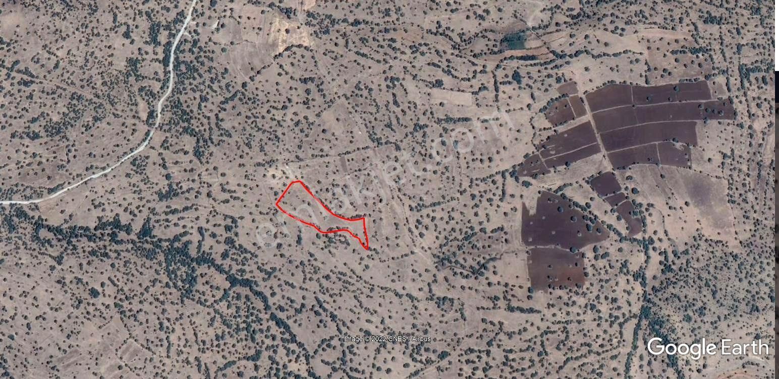Çukurçimende 8191m2 Müstakil Tapulu & Hazine Arazisine Cephe Makul Arazi - Görsel 3