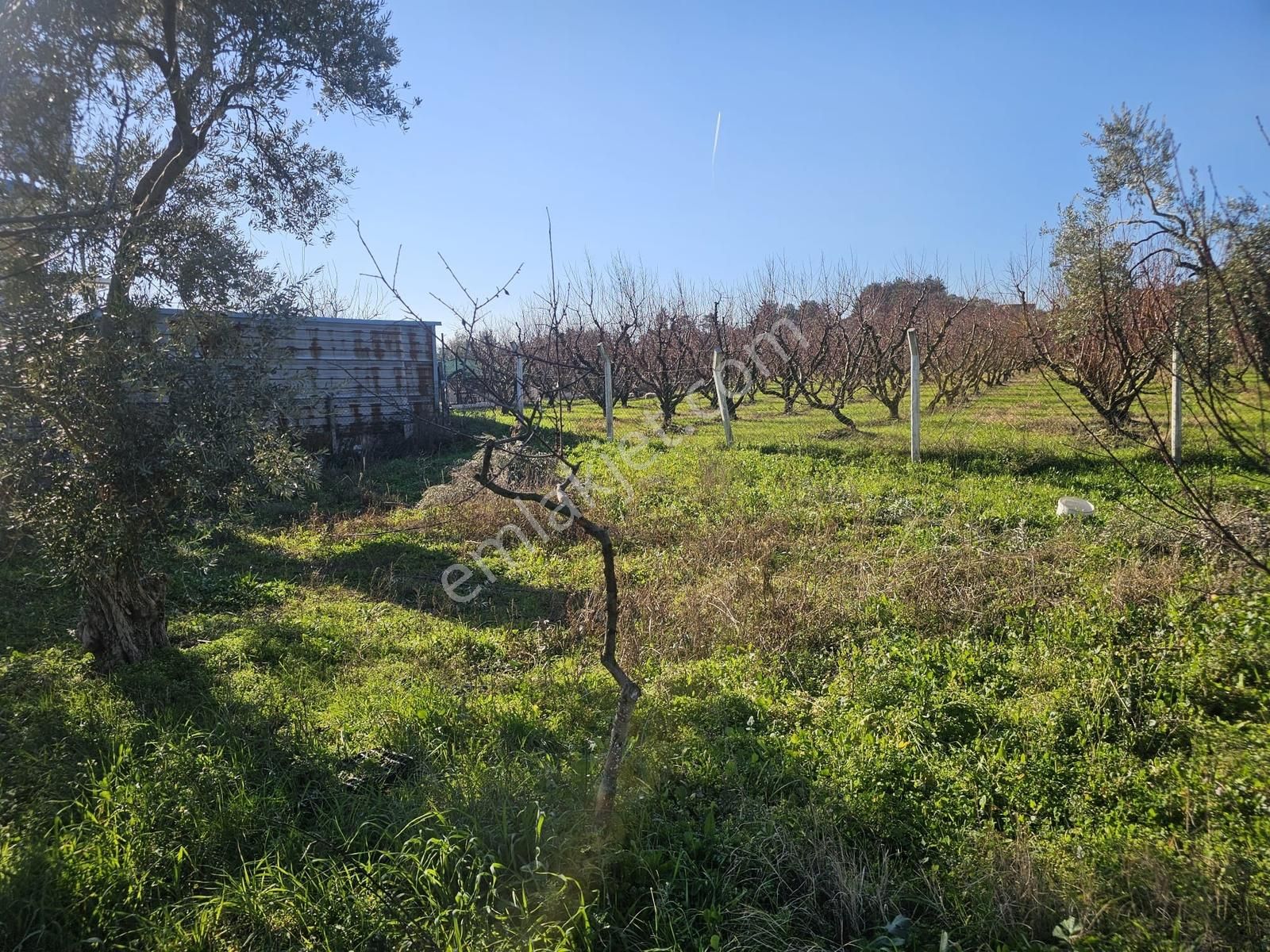 İzmir Kemalpaşa Armutluda Satılık Bahçeli Ev - Görsel 12