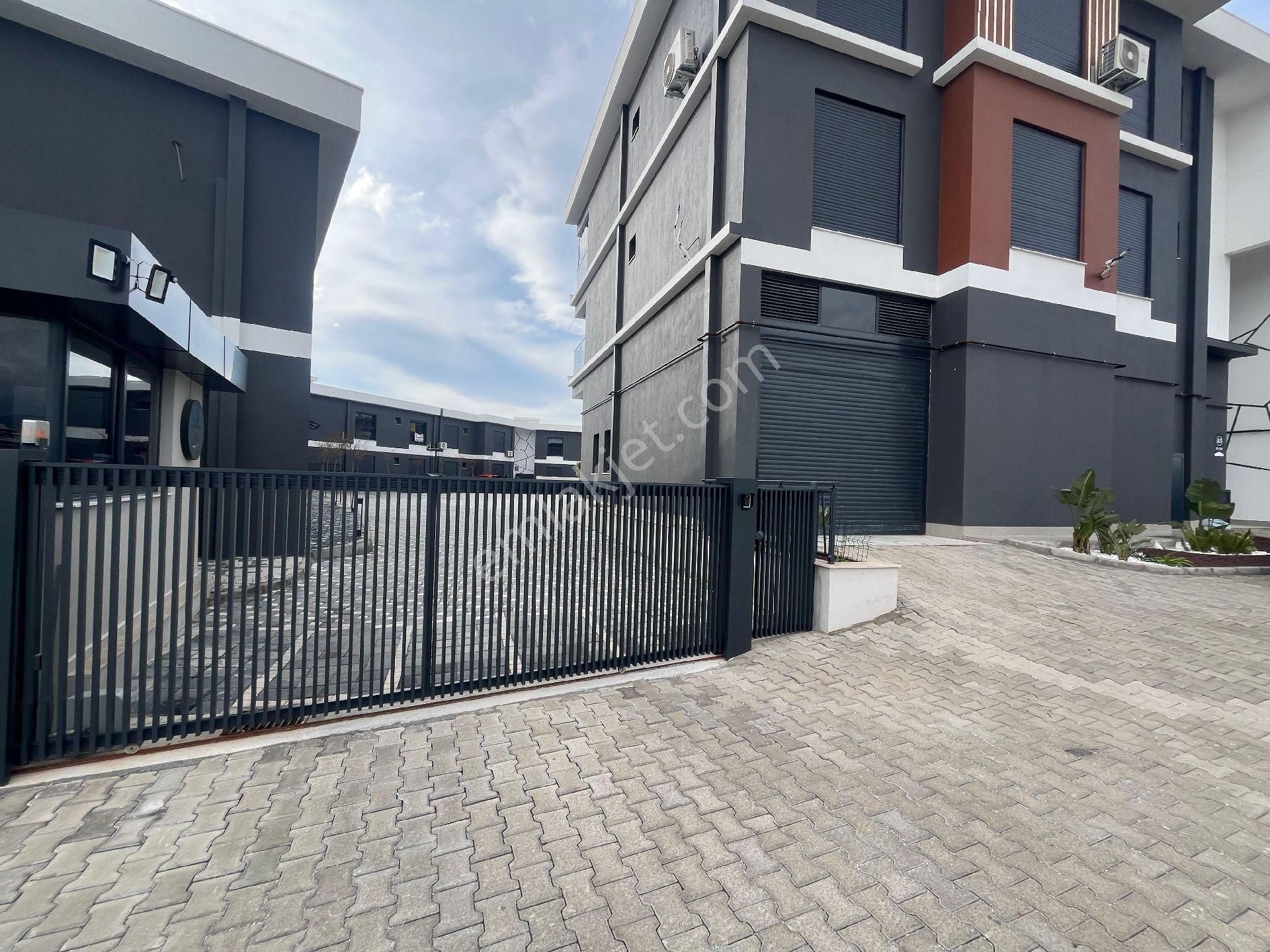 Full Deniz - Görsel 3