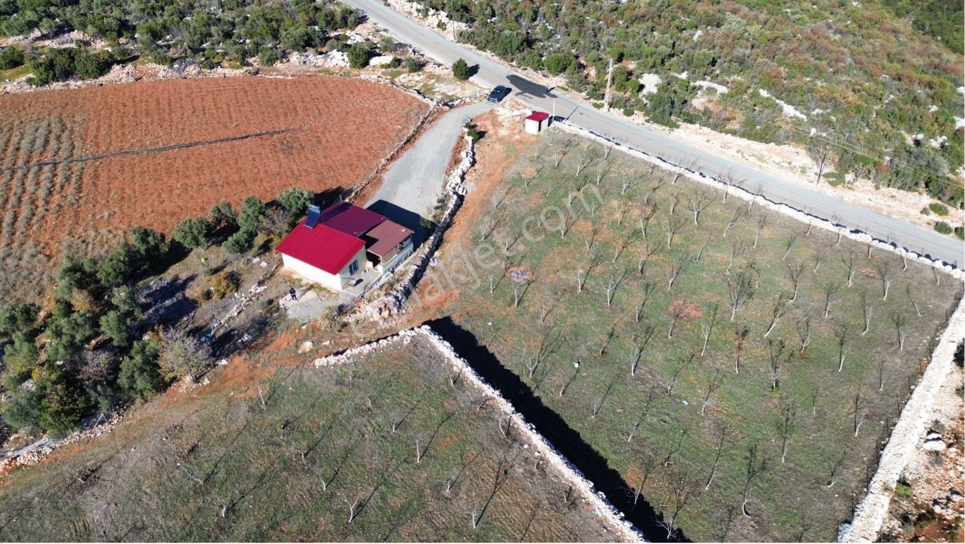 Kaçırılmaz Fırsat 20 Dönüm Arazi İçinde 2+1 Ev - Görsel 4