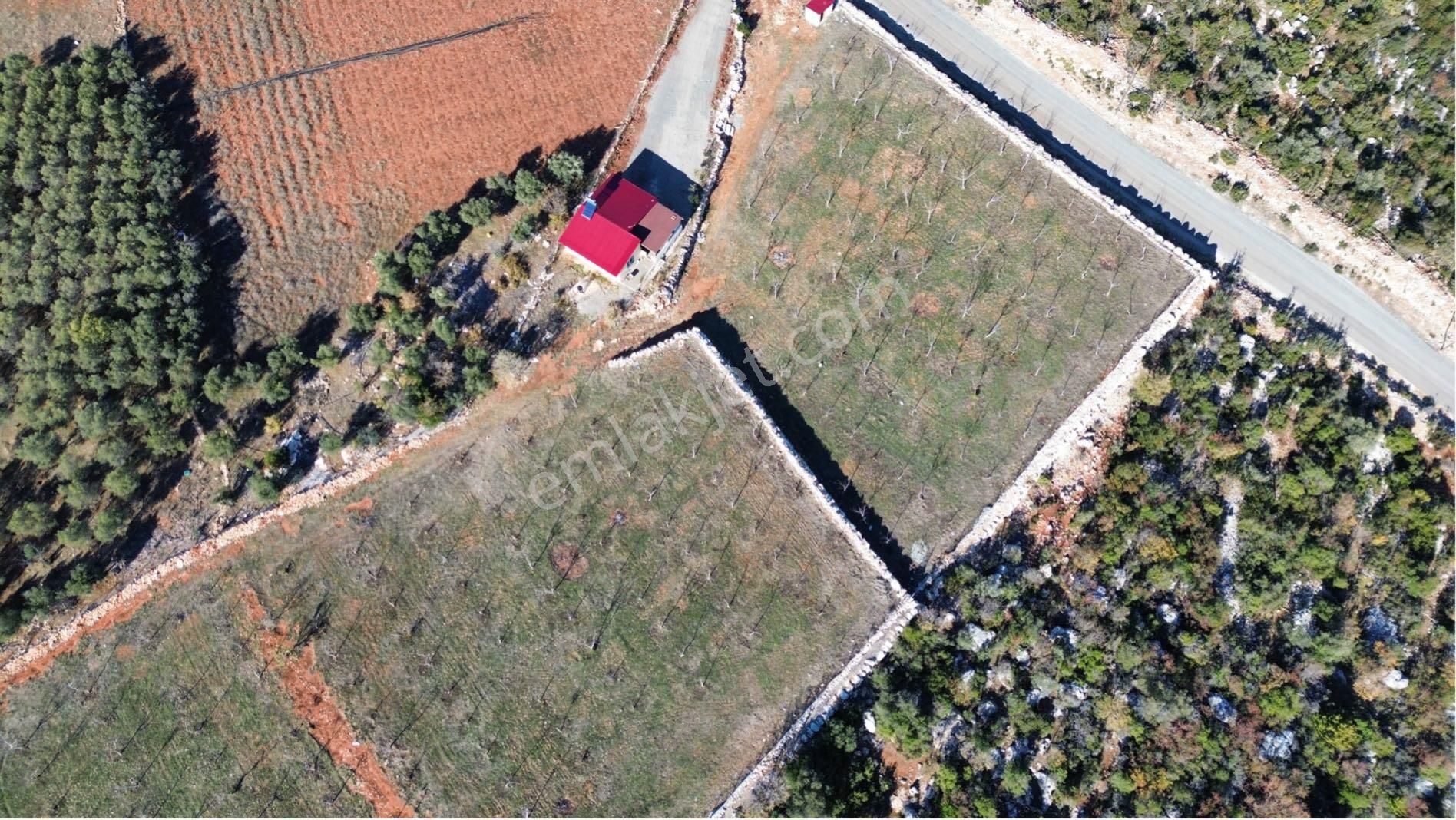 Kaçırılmaz Fırsat 20 Dönüm Arazi İçinde 2+1 Ev - Görsel 5