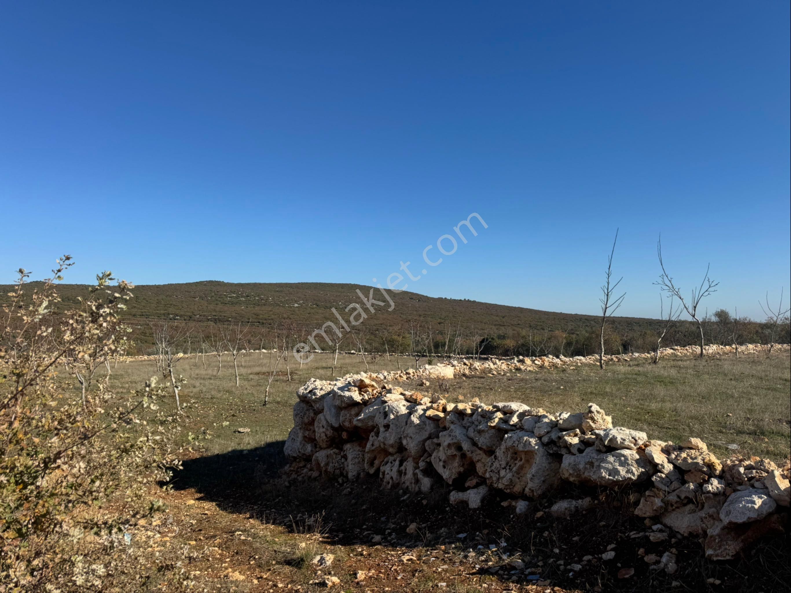 Kaçırılmaz Fırsat 20 Dönüm Arazi İçinde 2+1 Ev - Görsel 25