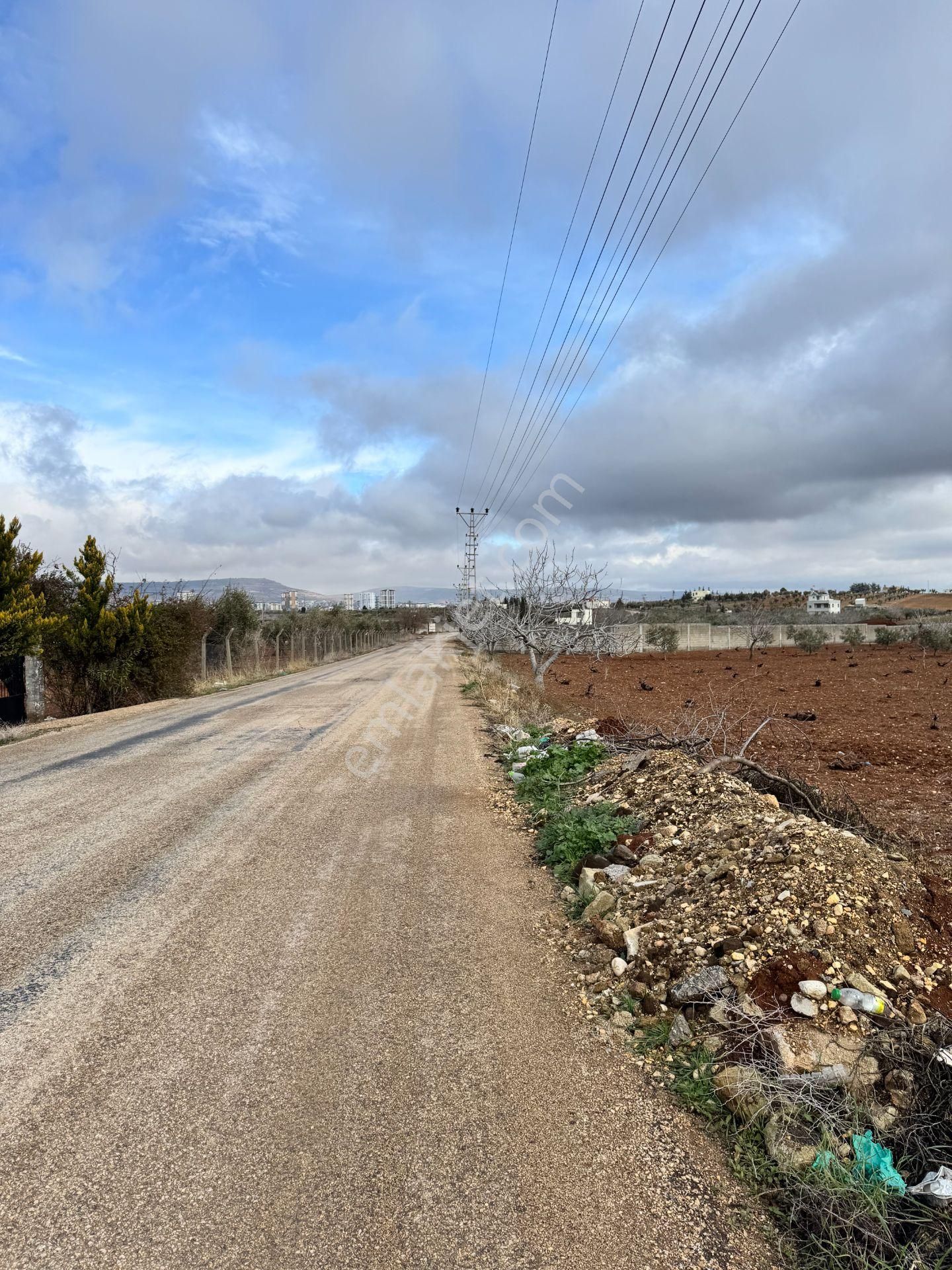 Babil Emlaktan Satlık Şehrin Dibinde Bağevlik-villalık Fıstıklık - Görsel 20