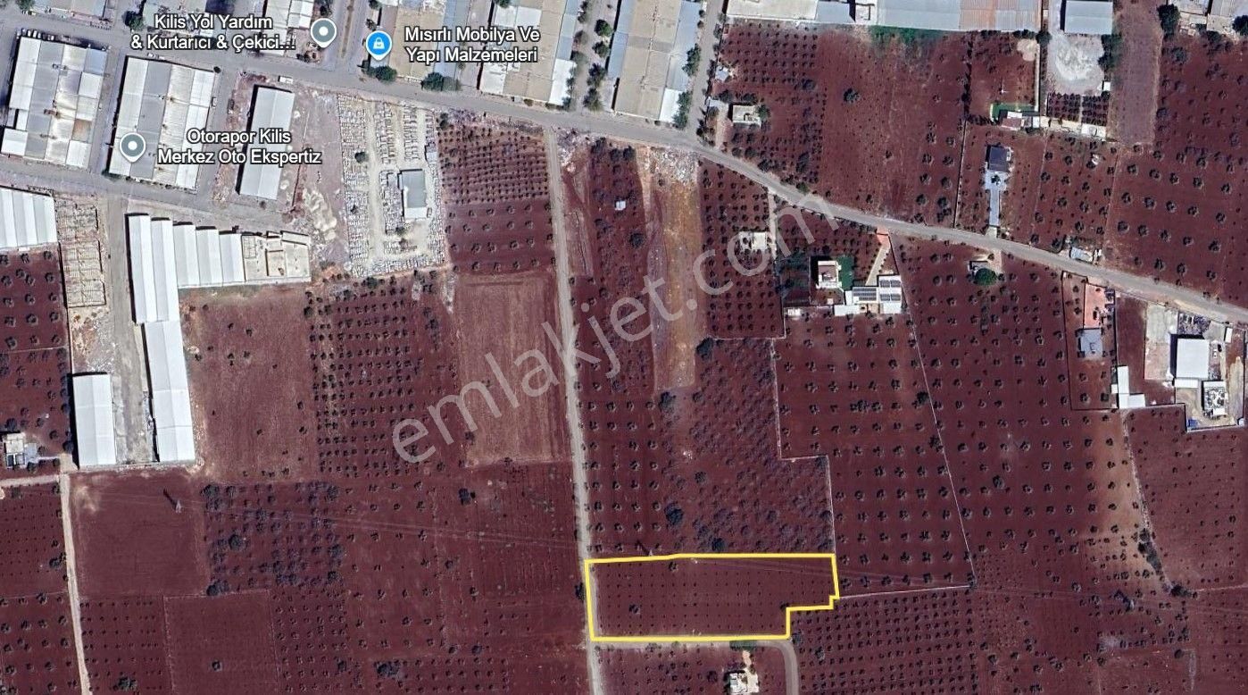 Babil Emlaktan Satlık Sanayi Dibi Çift Cephe Asfalt Üzeri Zeytin - Görsel 8