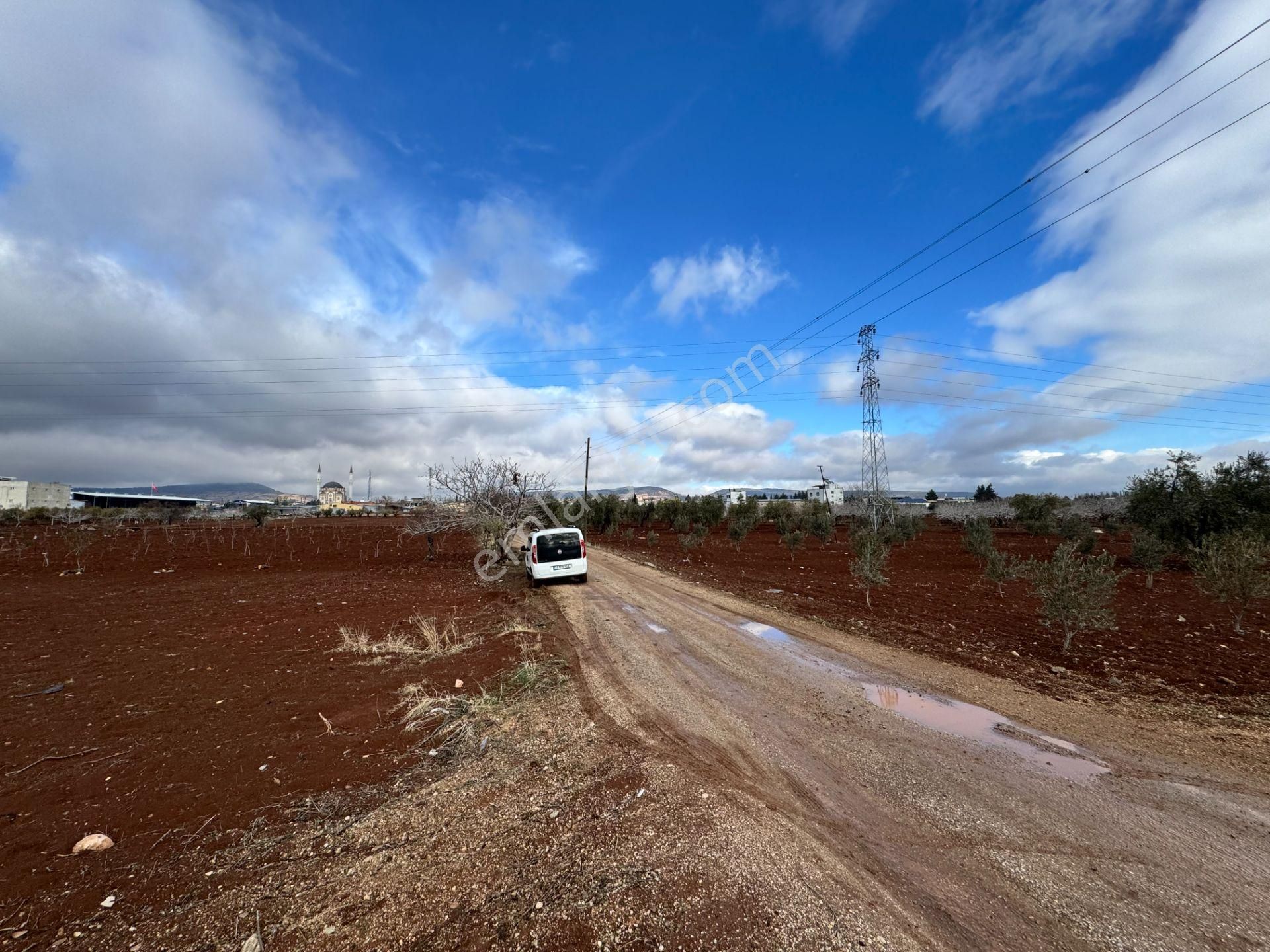 Babil Emlaktan Satlık Sanayi Dibi Çift Cephe Asfalt Üzeri Zeytin - Görsel 16