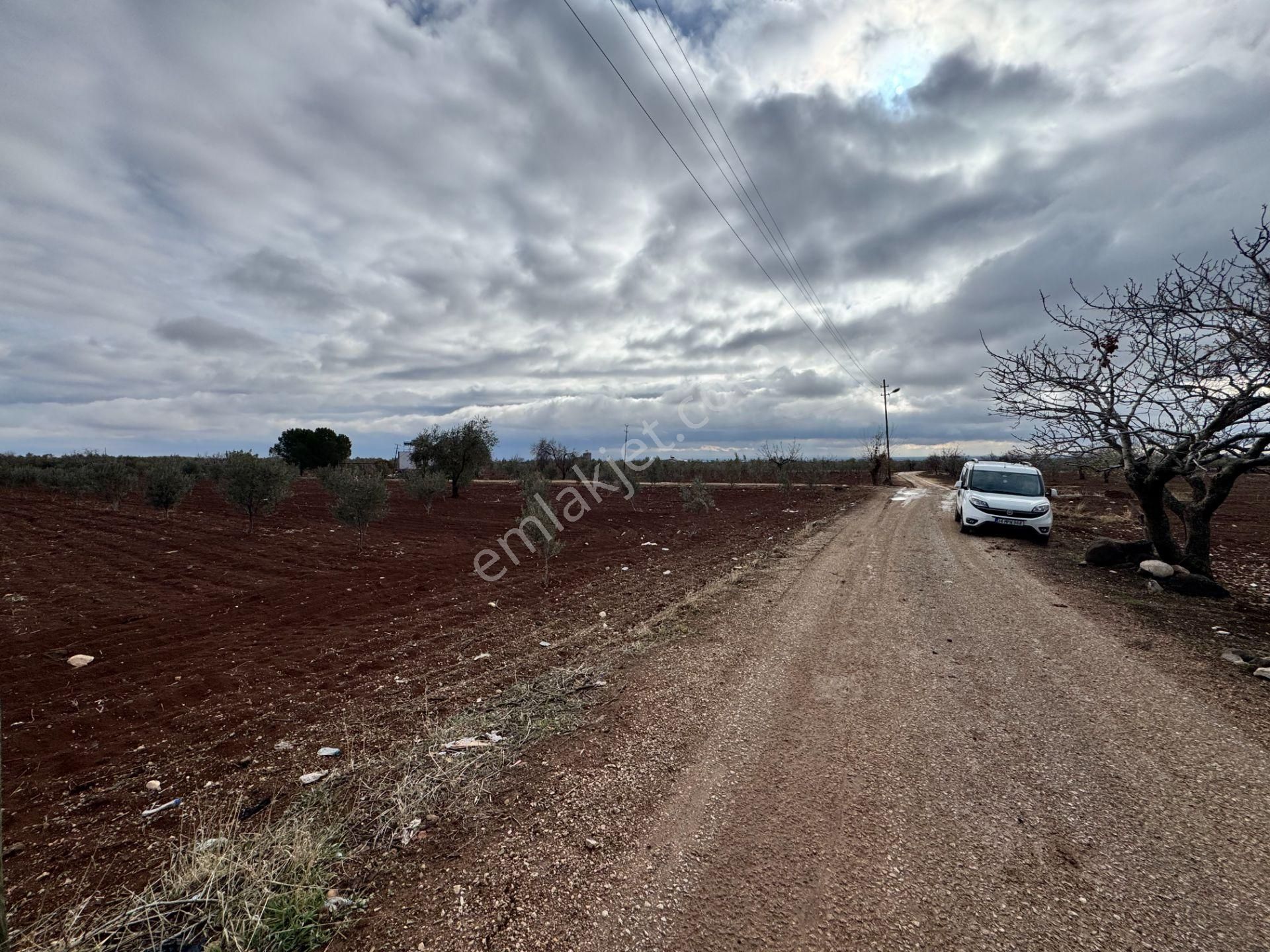 Babil Emlaktan Satlık Sanayi Dibi Çift Cephe Asfalt Üzeri Zeytin - Görsel 19