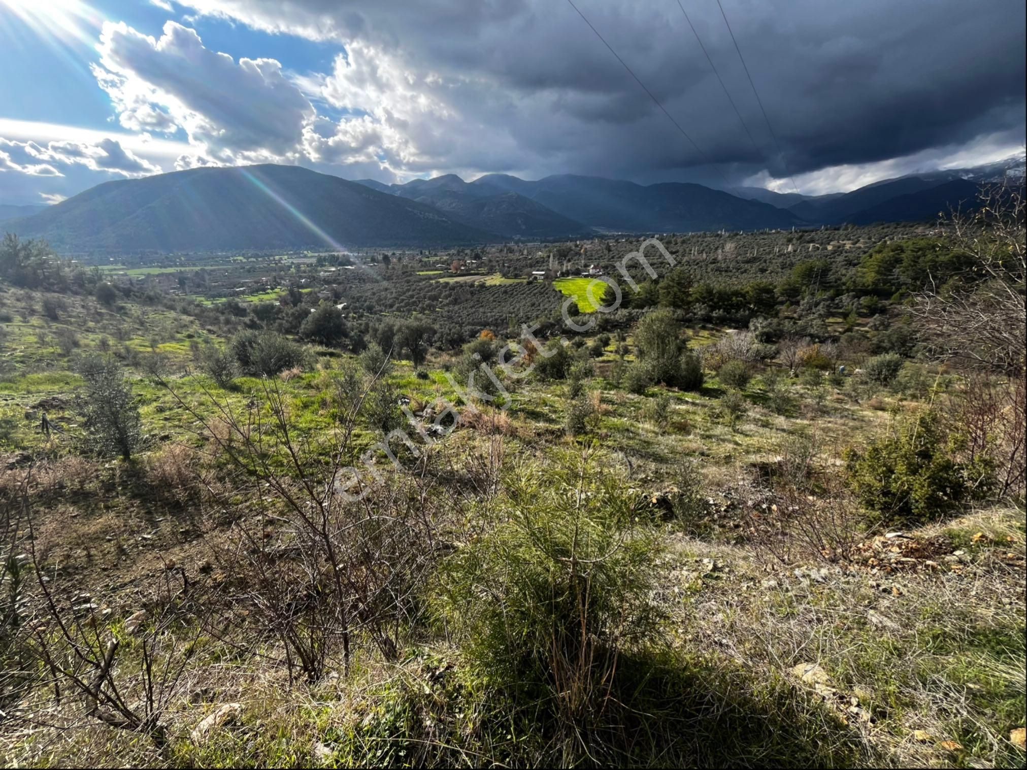 Muğla Seydikemer Paşalı Da Satlık 40 Dönüm Zeytinlik - Görsel 21