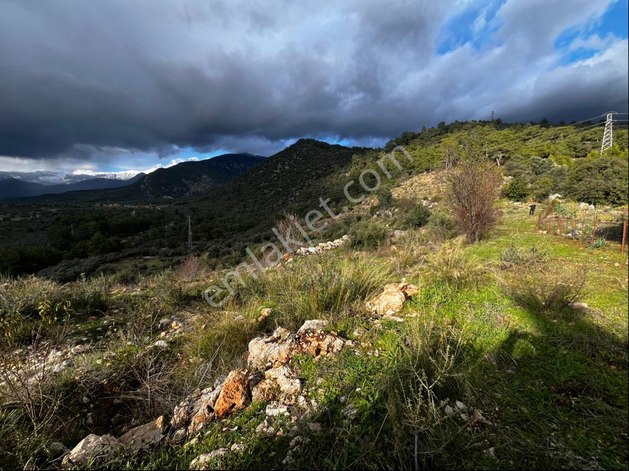 Muğla Seydikemer Paşalı Da Satlık 40 Dönüm Zeytinlik - Görsel 27