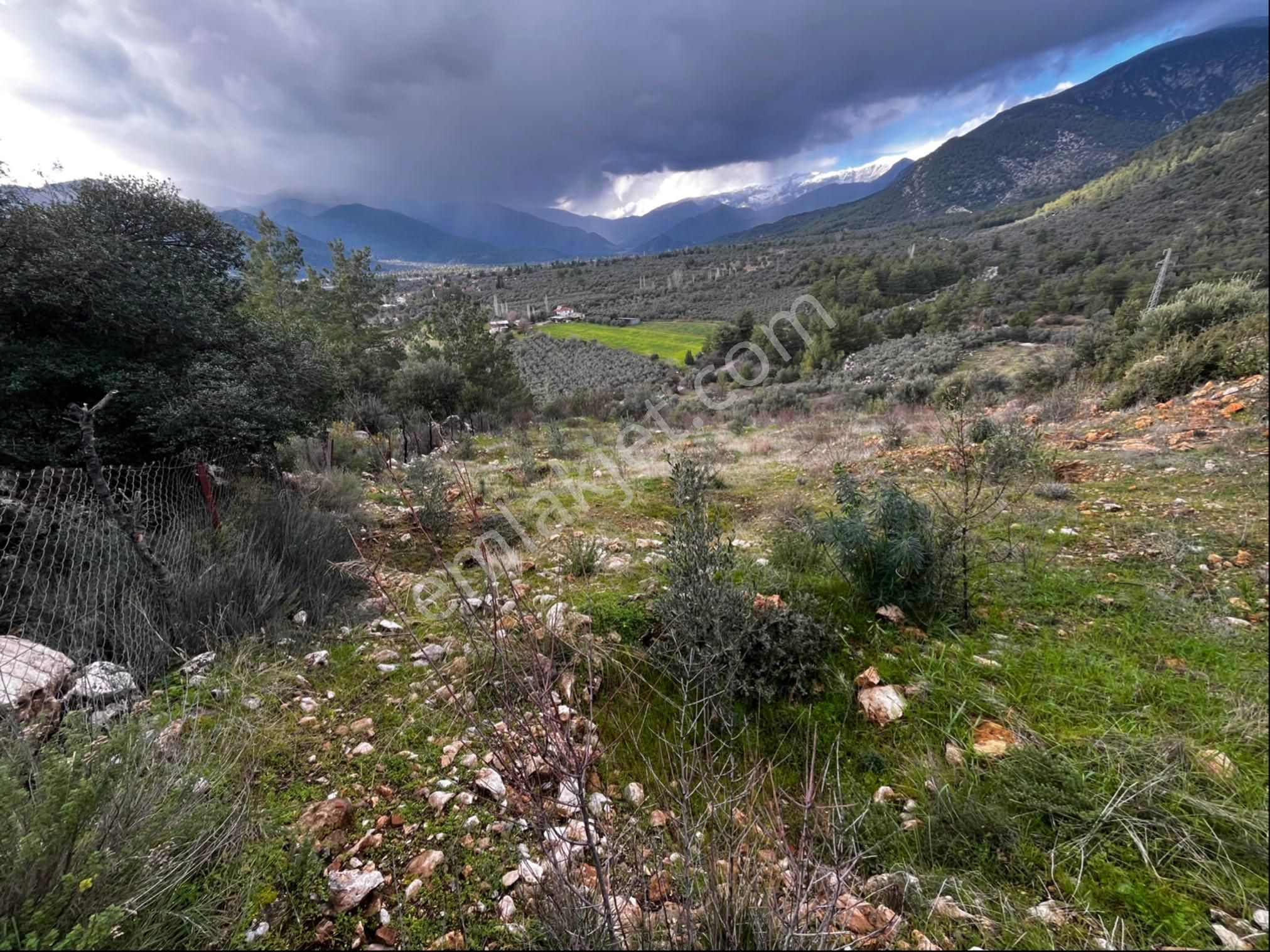 Muğla Seydikemer Paşalı Da Satlık 40 Dönüm Zeytinlik - Görsel 30