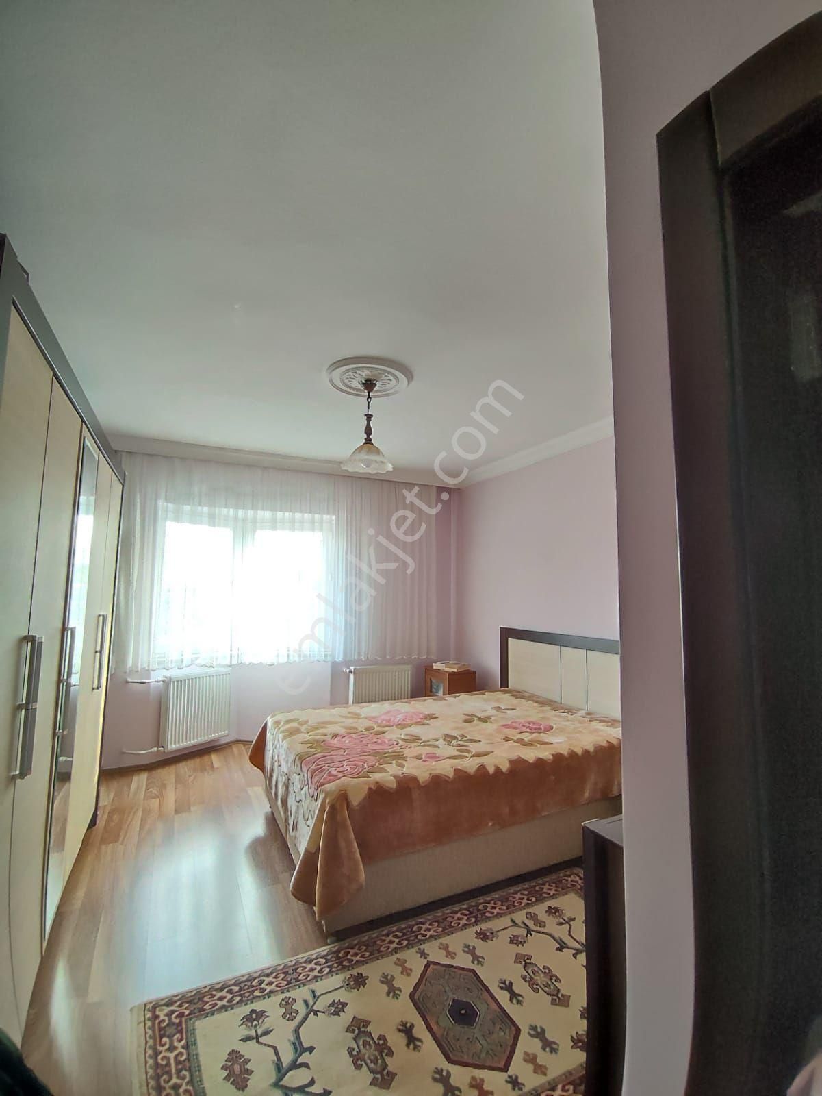 4+1 Daire Büyük - Görsel 2