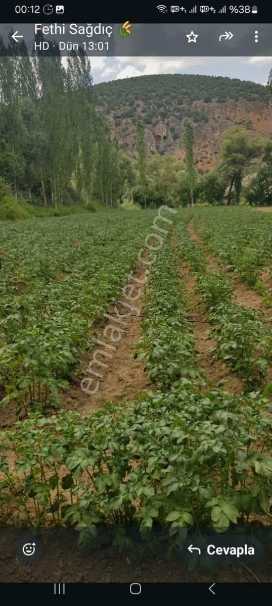 Emlakyap'tan Bozkır Merkezde Satılık Müstakil Tapulu Bahçe - Görsel 2
