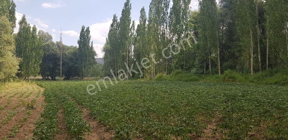 Emlakyap'tan Bozkır Merkezde Satılık Müstakil Tapulu Bahçe - Görsel 8