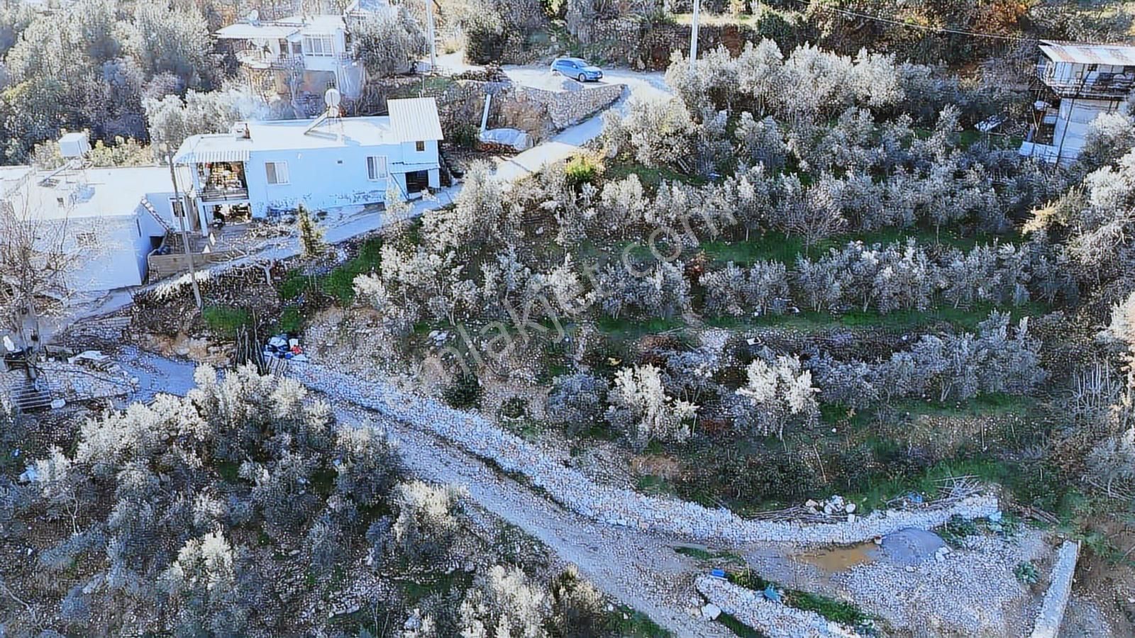 Alanya Kayabaşı Mahallesın'de Ruhsatlı 885m2 Satılık Bahçe - Görsel 19