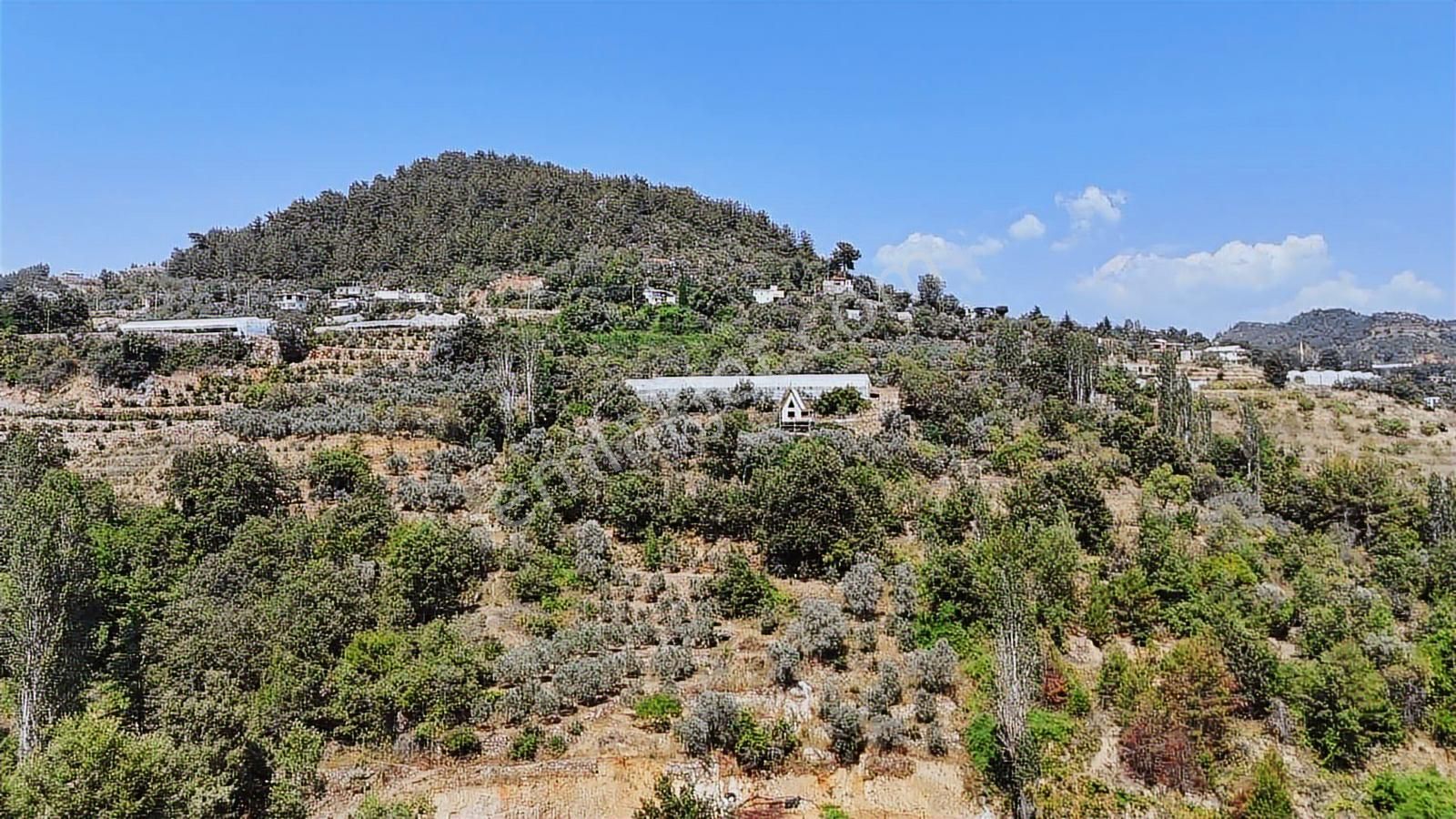 Alanya Kayabaşı Mahallesın'de Ruhsatlı 885m2 Satılık Bahçe - Görsel 8