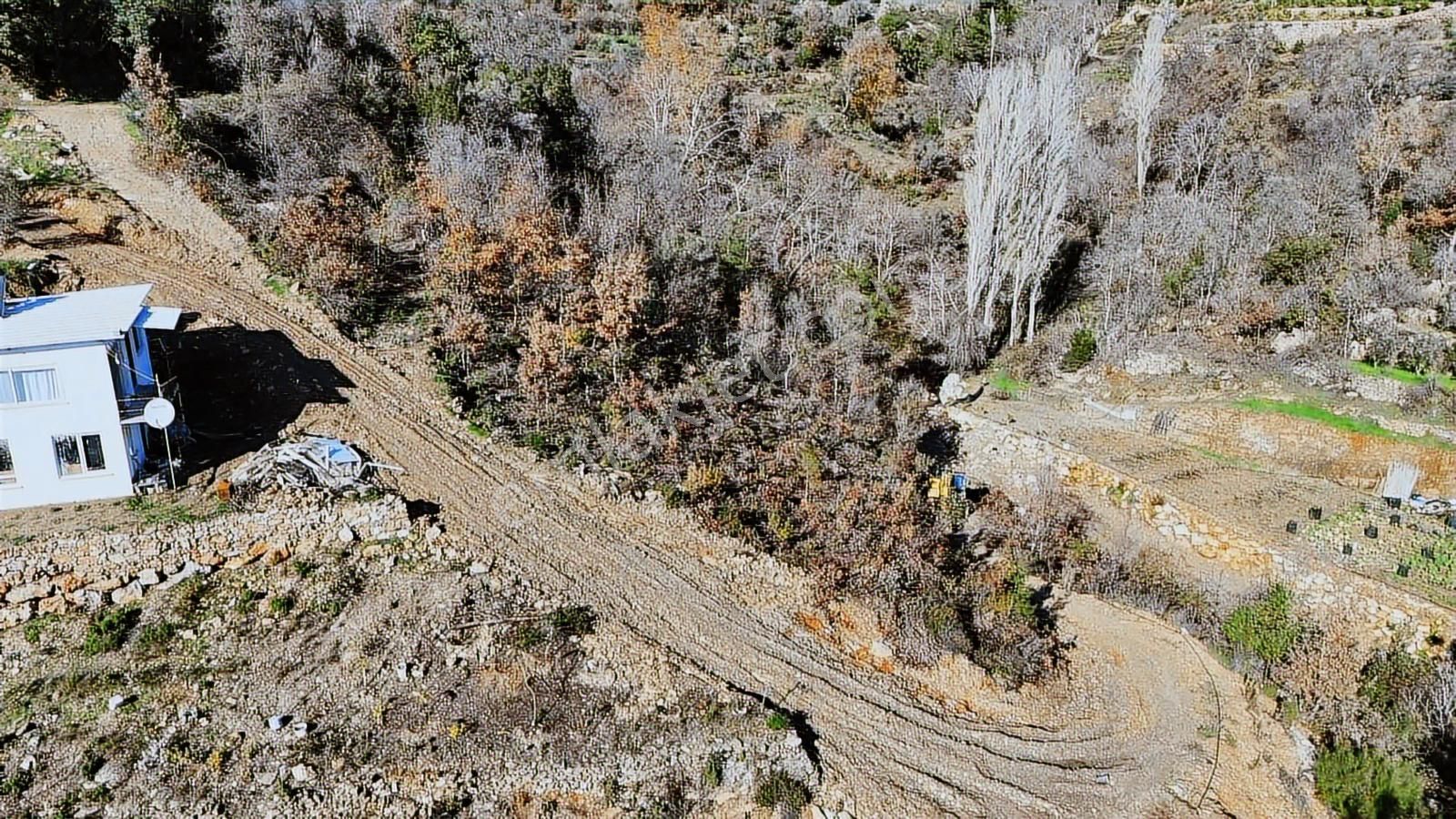 Alanya Kayabaşı Mahallesın'de Ruhsatlı 885m2 Satılık Bahçe - Görsel 8