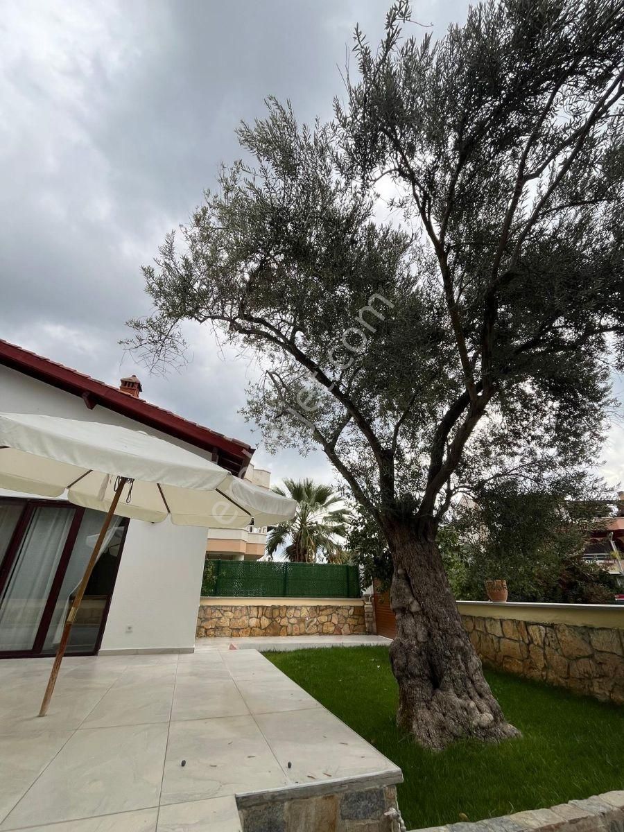 Altınoluk Denize 200 M 4+1 Müstakil Villa - Görsel 28
