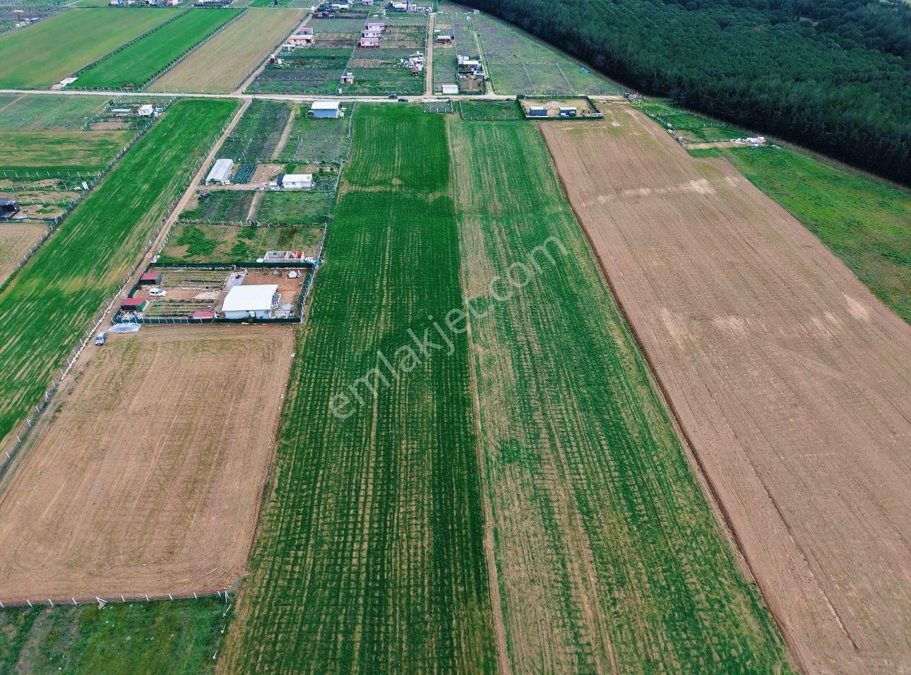 Menderes Bulgurca Akçaalan Da 1350 & 1350 Metre Arsa - Görsel 7