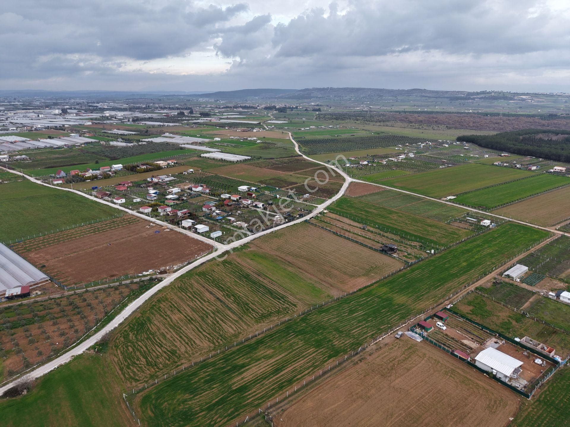 Menderes Bulgurca Akçaalan Da 1350 & 1350 Metre Arsa - Görsel 4