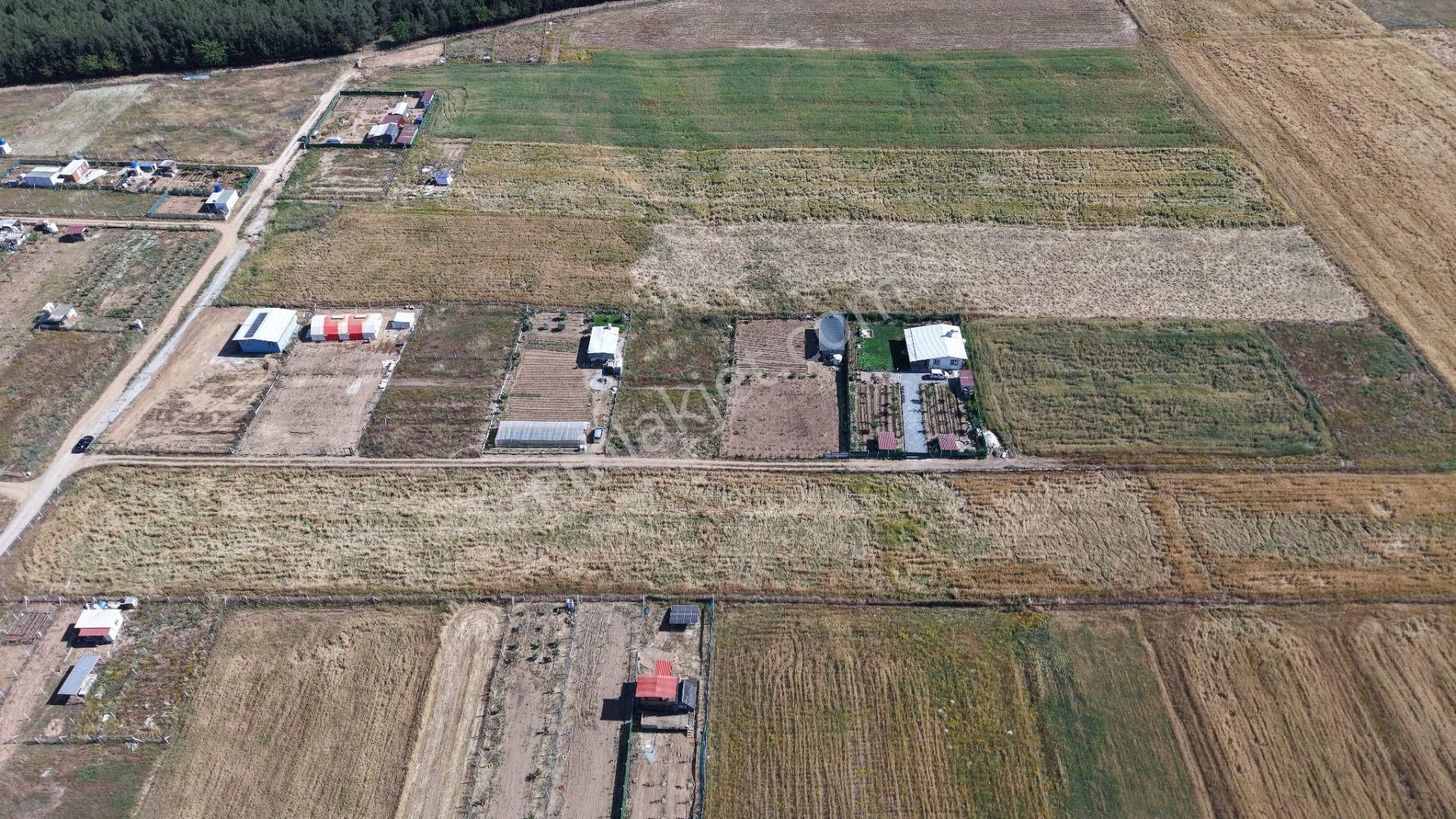 Menderes Bulgurca Akçaalan Da 1350 & 1350 Metre Arsa - Görsel 2