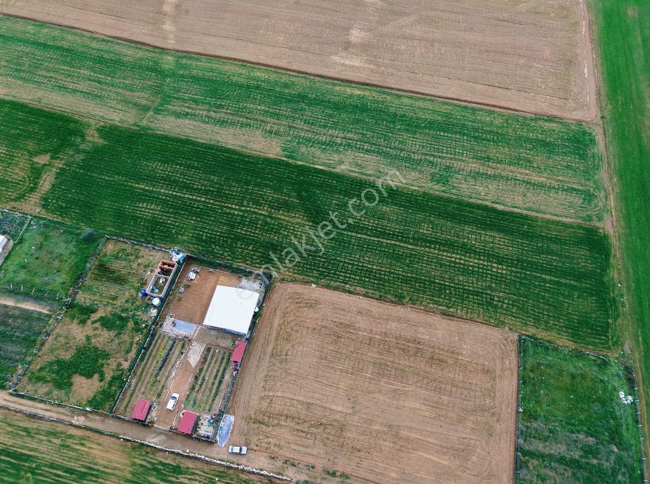 Menderes Bulgurca Akçaalan Da 1350 & 1350 Metre Arsa - Görsel 5