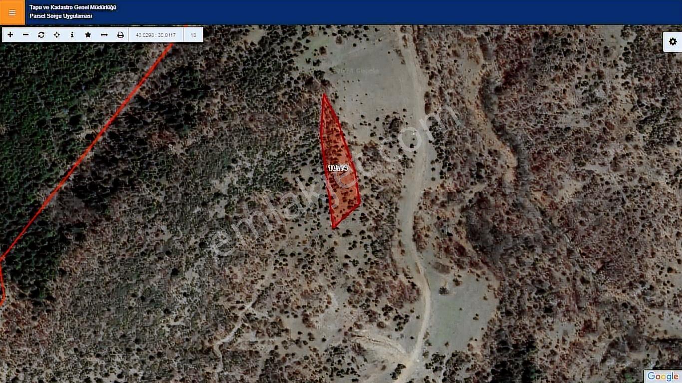 Başkan Emlaktan Satılık Pazaryeri Demirköy'de 2,202 M2 Tarla - Görsel 2