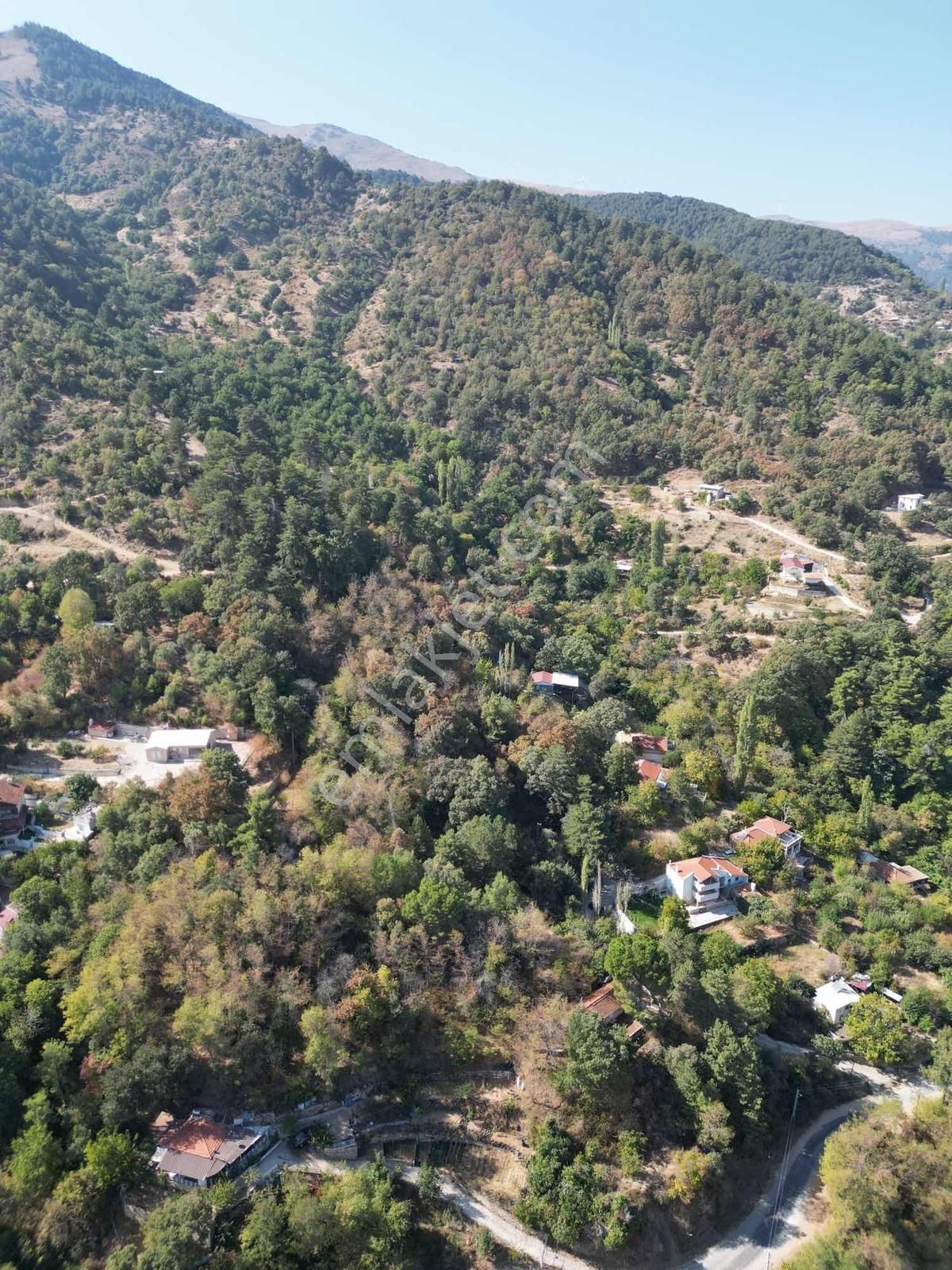 Yardan Çayı Yanında Kadastral Yolu Olan 2495m2 Satılık Bahçe - Görsel 7